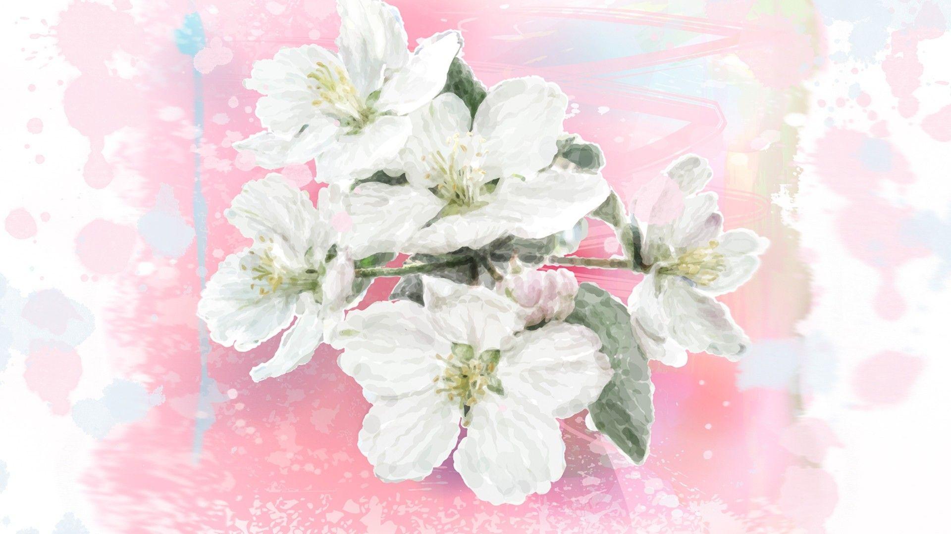 1920x1080 Flowers: Apple Blossom Watercolor Flowers Splatter Spring Blossoms