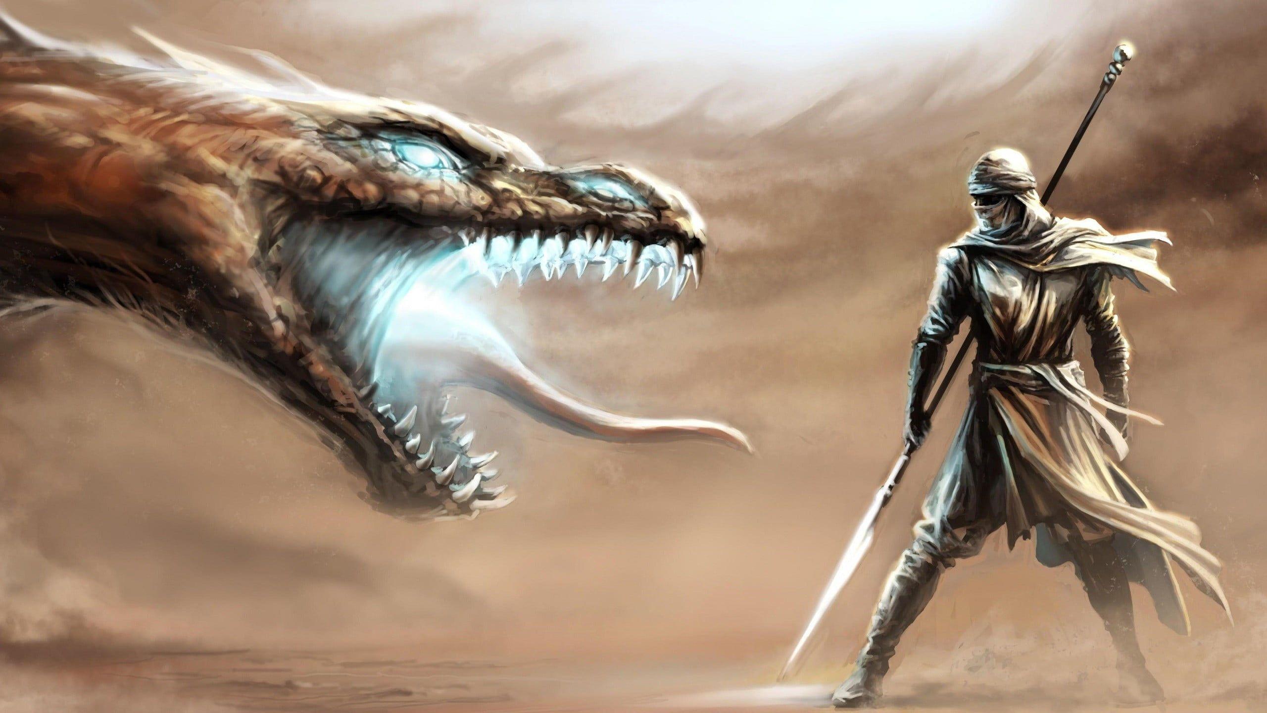 2560x1440 Warrior wielding spear facing dragon digital wallpaper, dragon