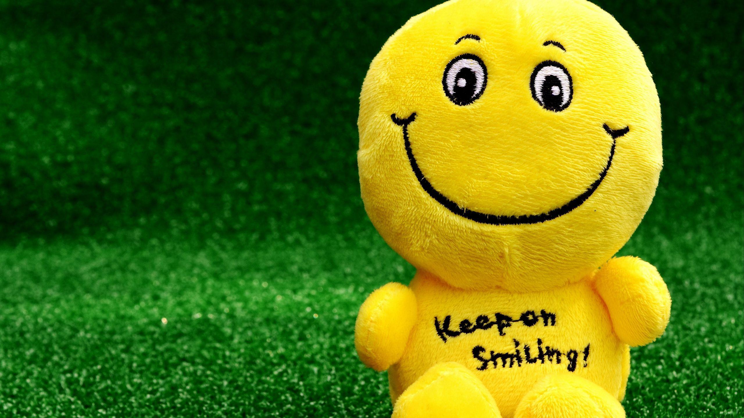 2560x1440 Download wallpaper 2560x1440 smiley, happy, toy, funny, positive