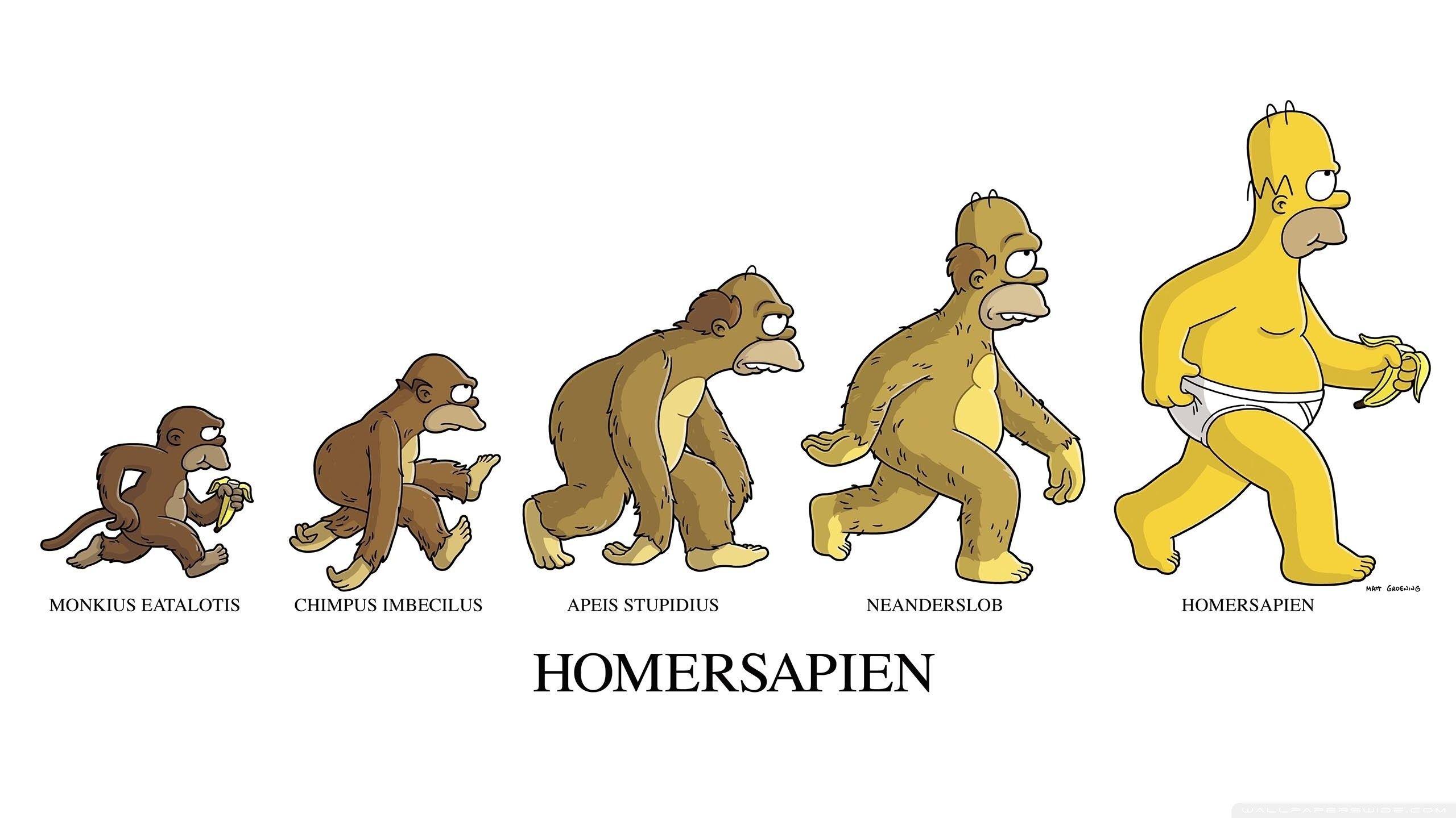 2560x1440 Funny Simpsons Wallpaper