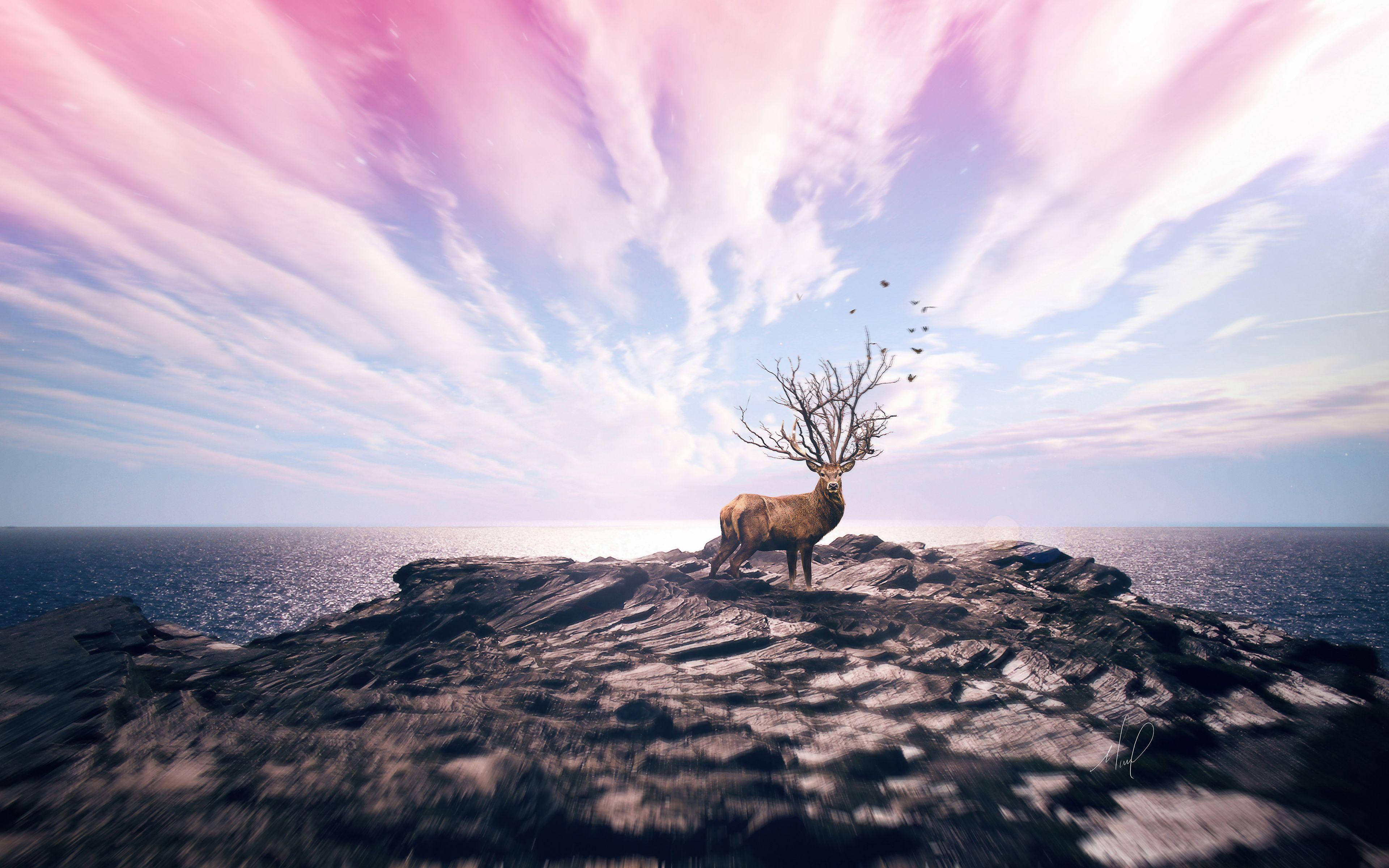 3840x2400 Deer on Cliff 4K Wallpaper