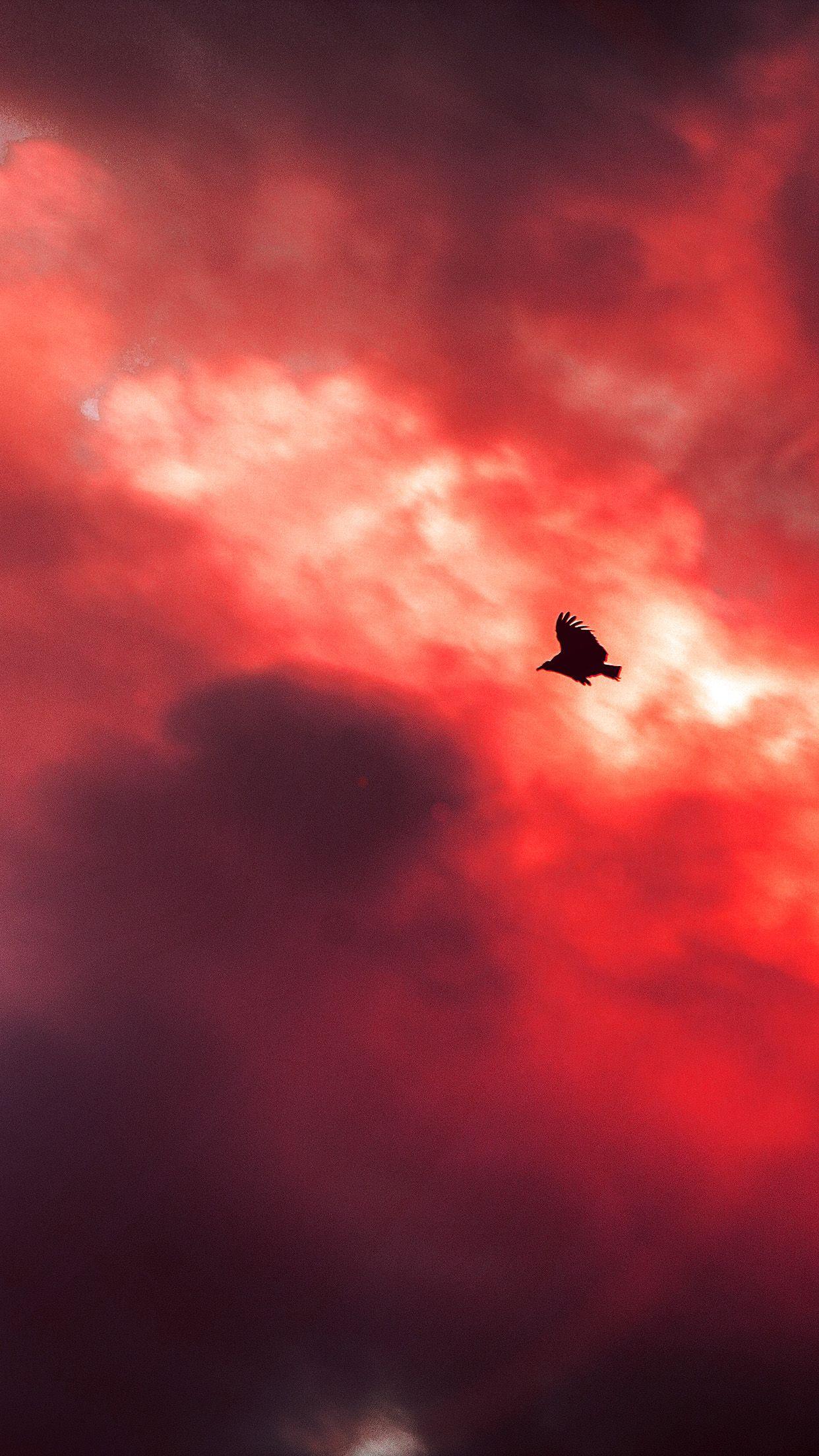 1242x2208 Bird Fly Sky Clouds Red Sunset Fire Nature Animal Android