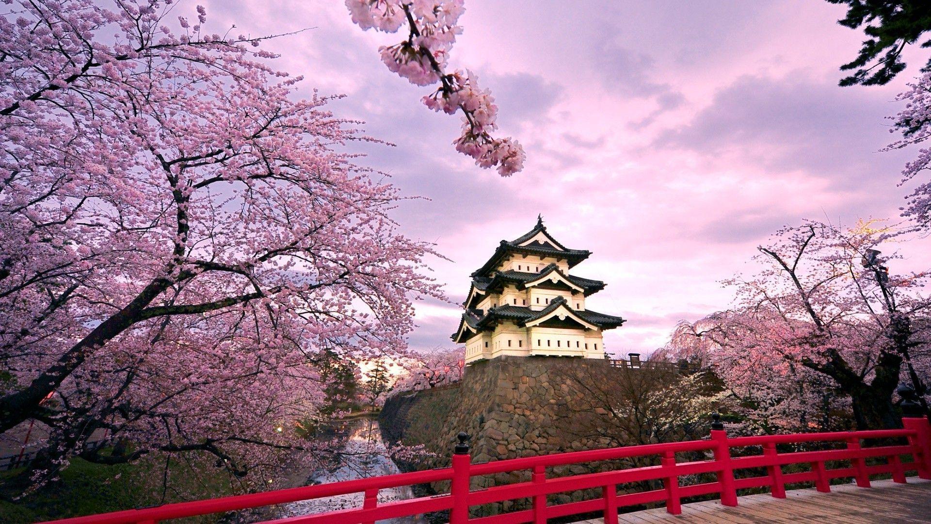 Japan Castle Wallpapers - Top Free Japan Castle Backgrounds ...