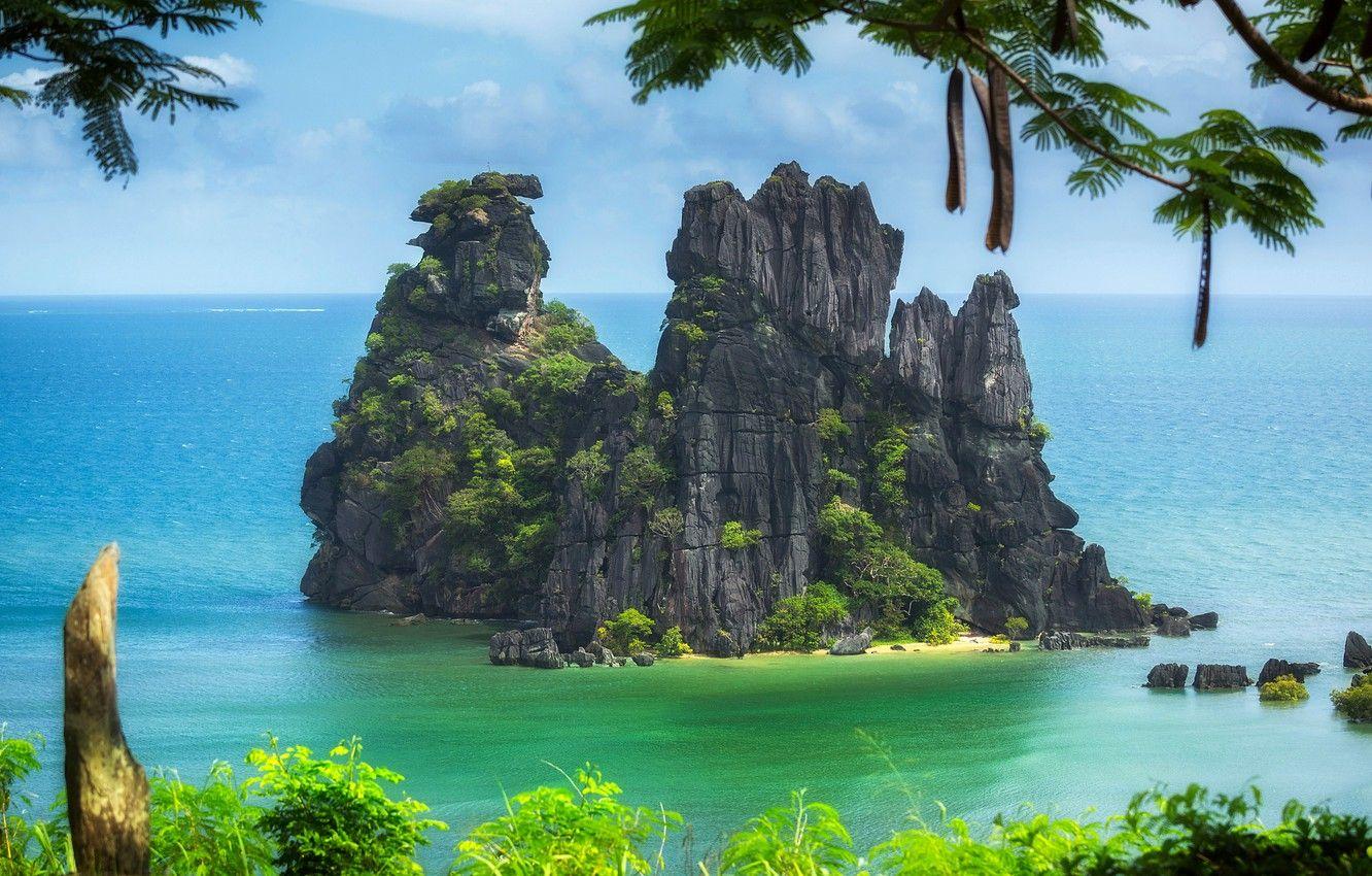 1332x850 Free download Wallpaper trees branches rocks island The Pacific