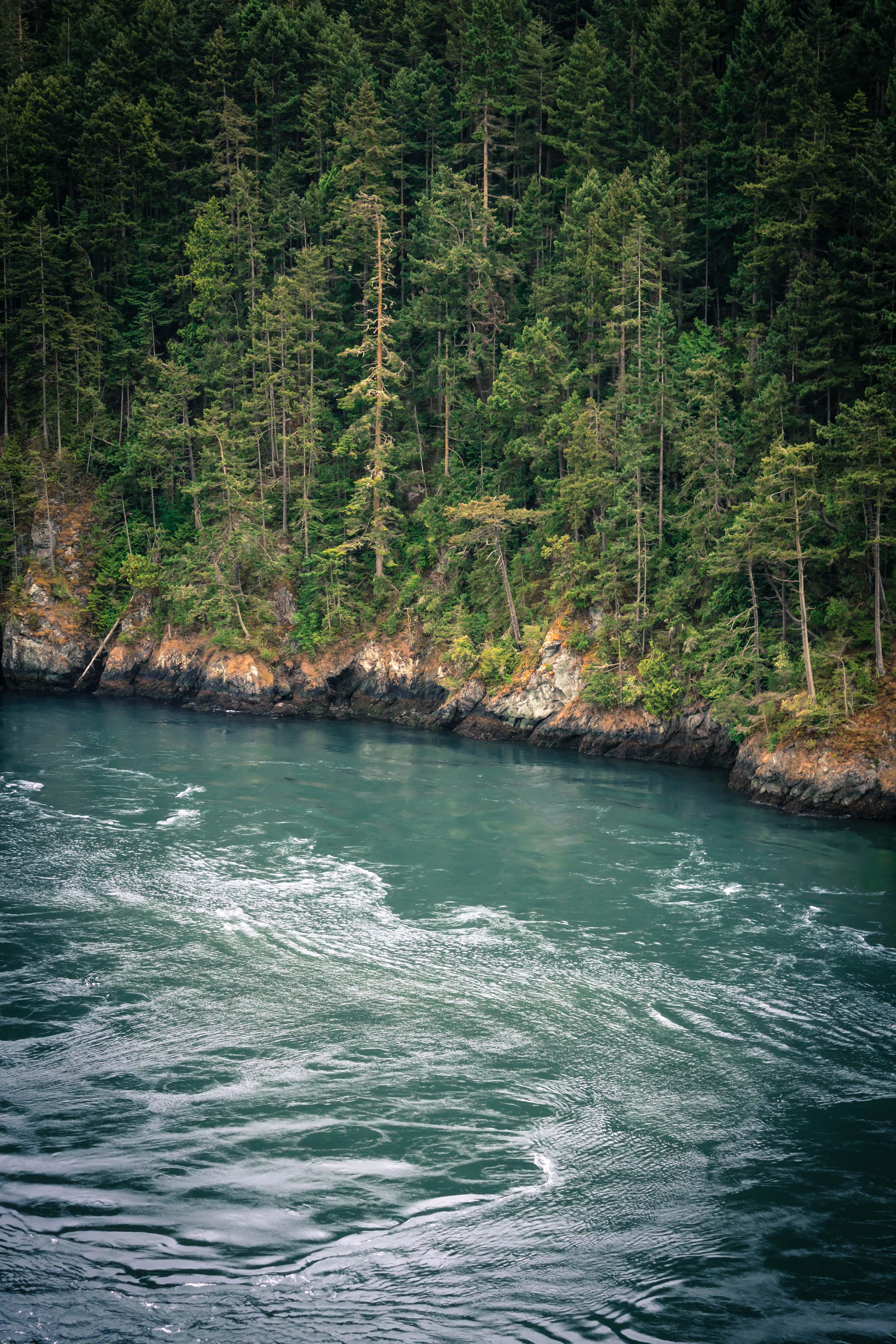 Pacific Northwest Beach Wallpapers - Top Free Pacific Northwest Beach