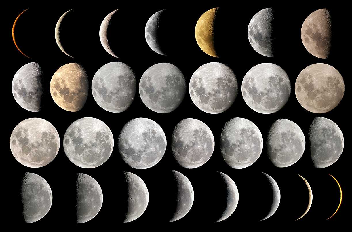 1223x806 1223x806px Moon Phase 81.32 KB