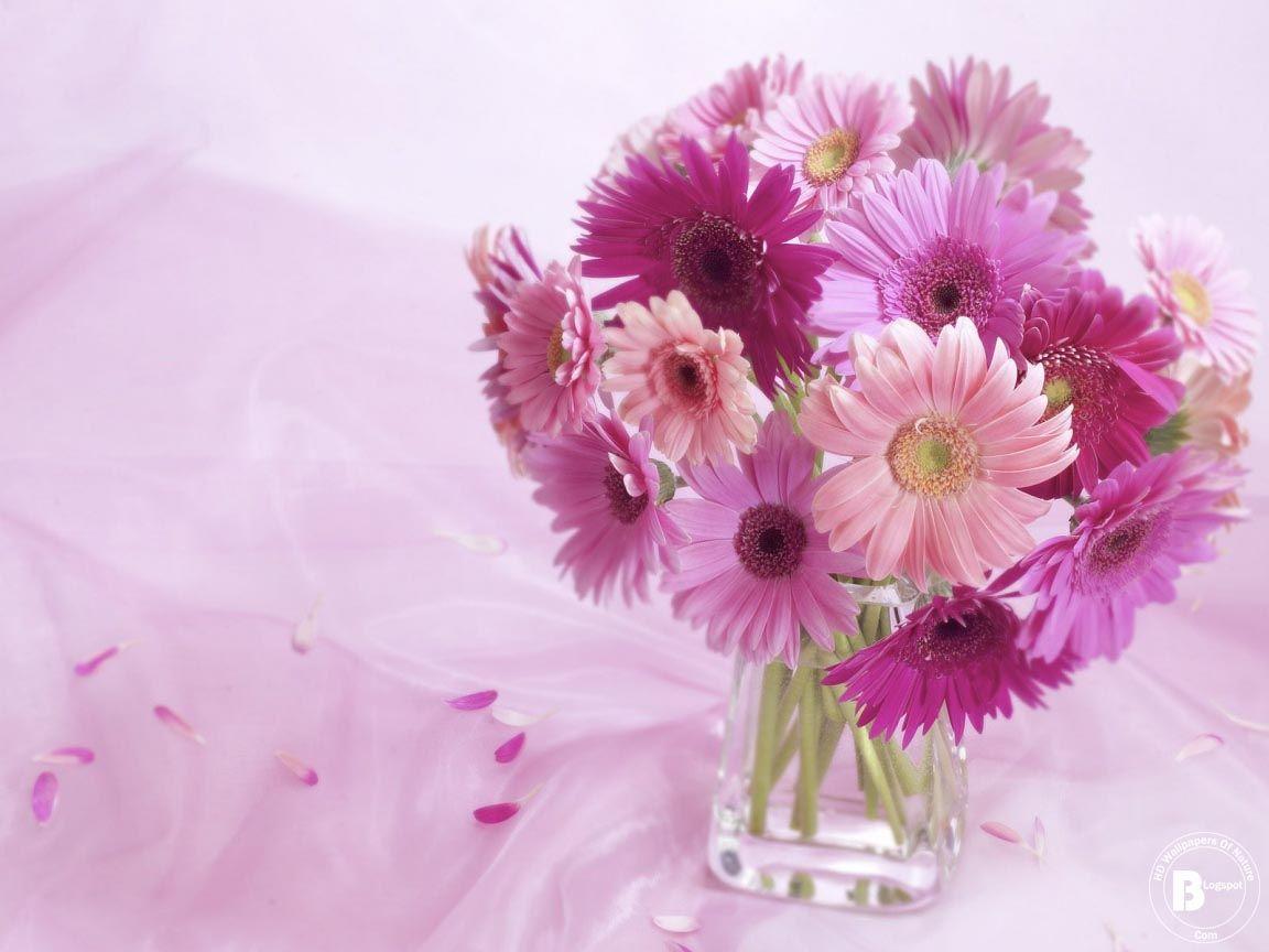 1152x864 HD Wallpaper Of Nature: HD Flower Wallpaper For PC