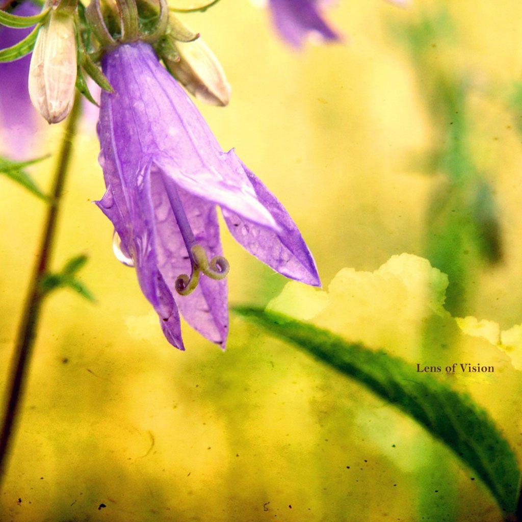 1024x1024 Easter Wallpaper for Phone