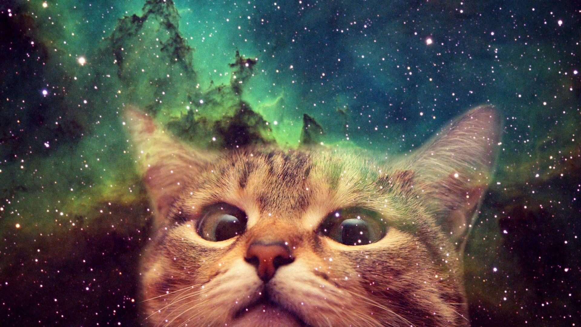 1920x1080 Free download Awesome Cats In Spaceman Circus