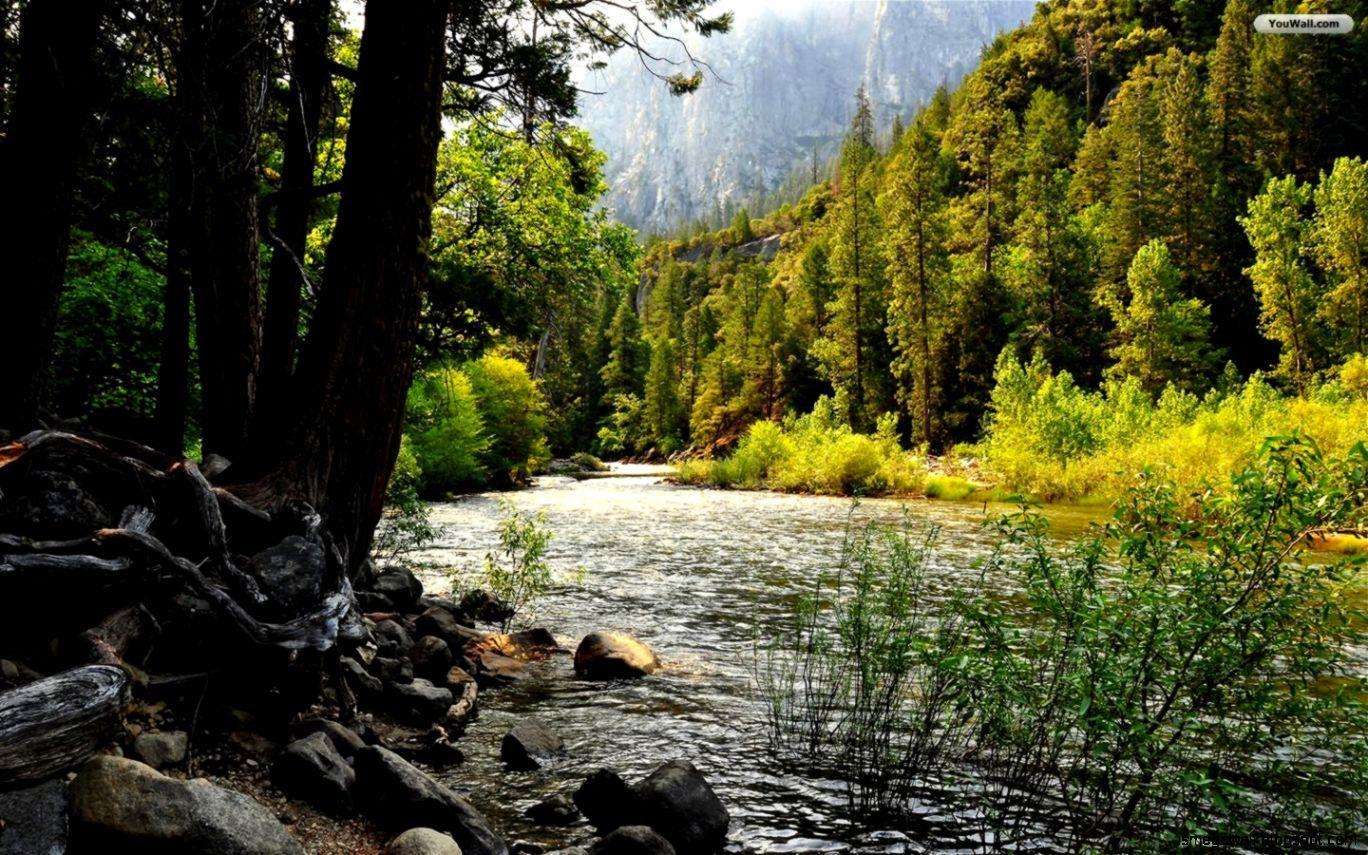 1368x855 Beautiful Forest Rivers Desktop