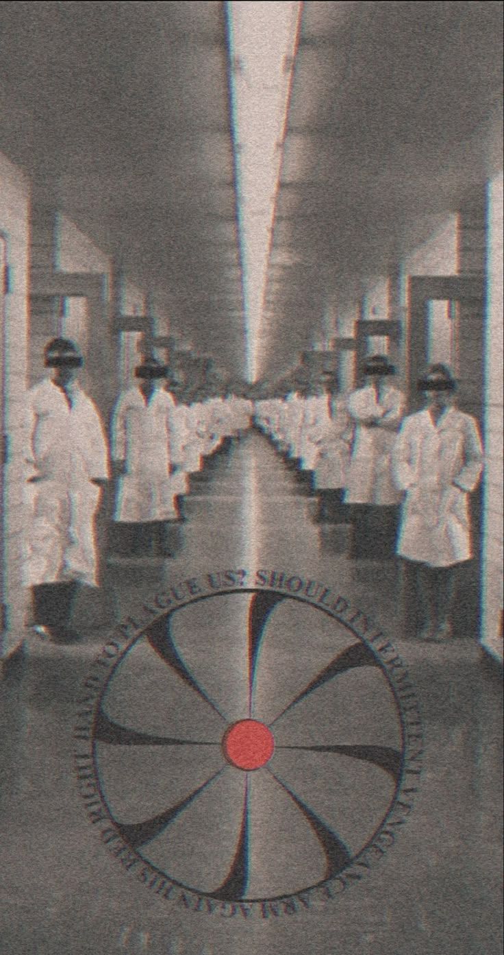 736x1393 