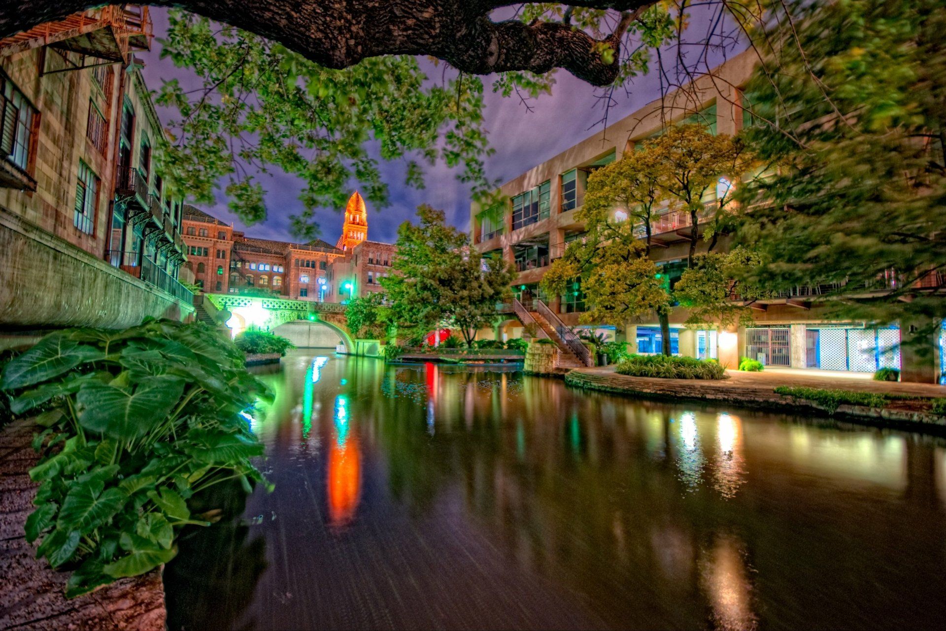 1920x1280 Download Light Building Tree Night Texas Man Made San Antonio HD Wallpaperx2000