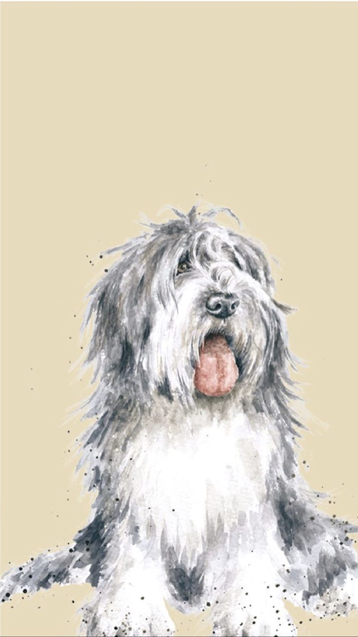 736x1309 Old English Sheepdog Phone Wallpaper