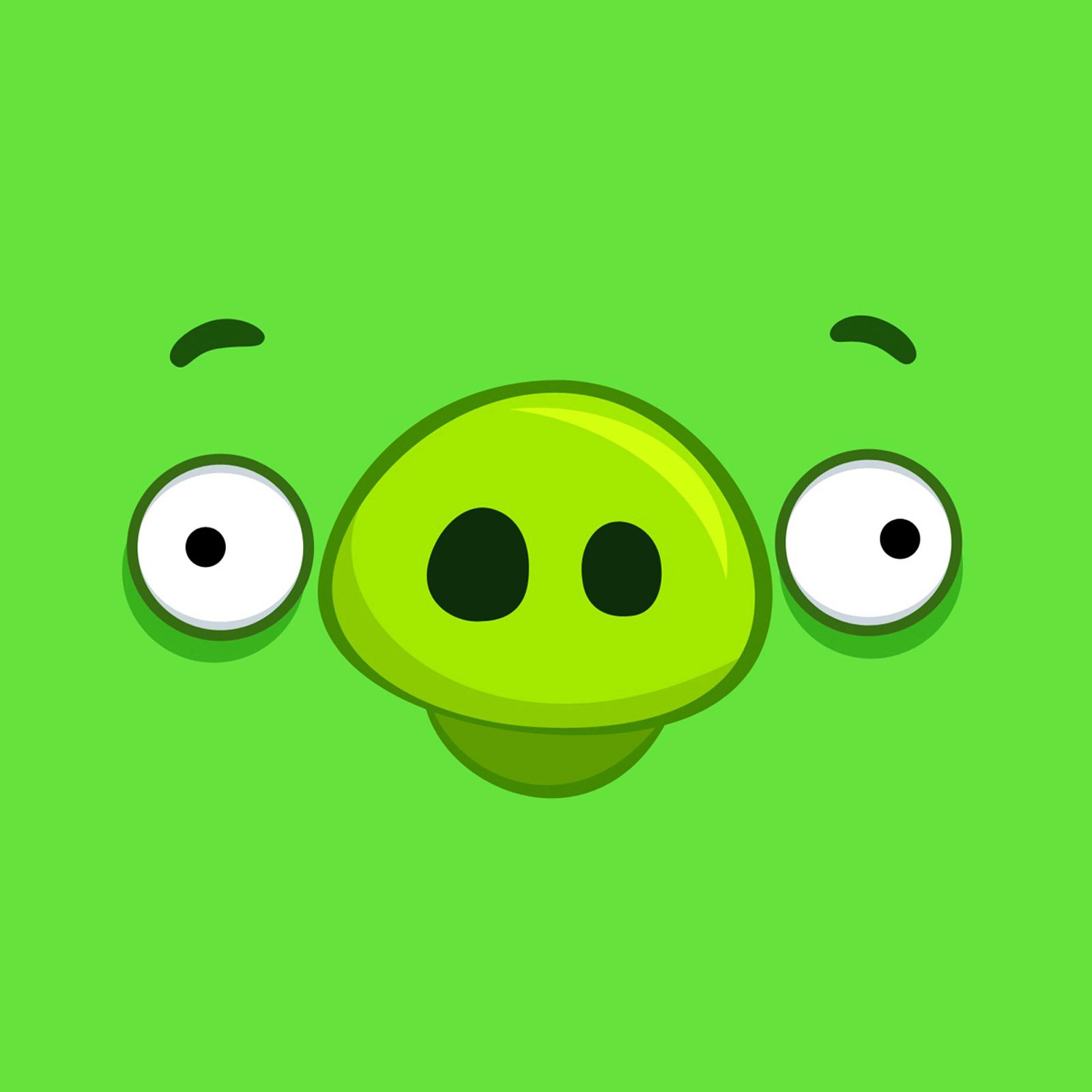 1600x1600 Bad Piggies Wallpaper