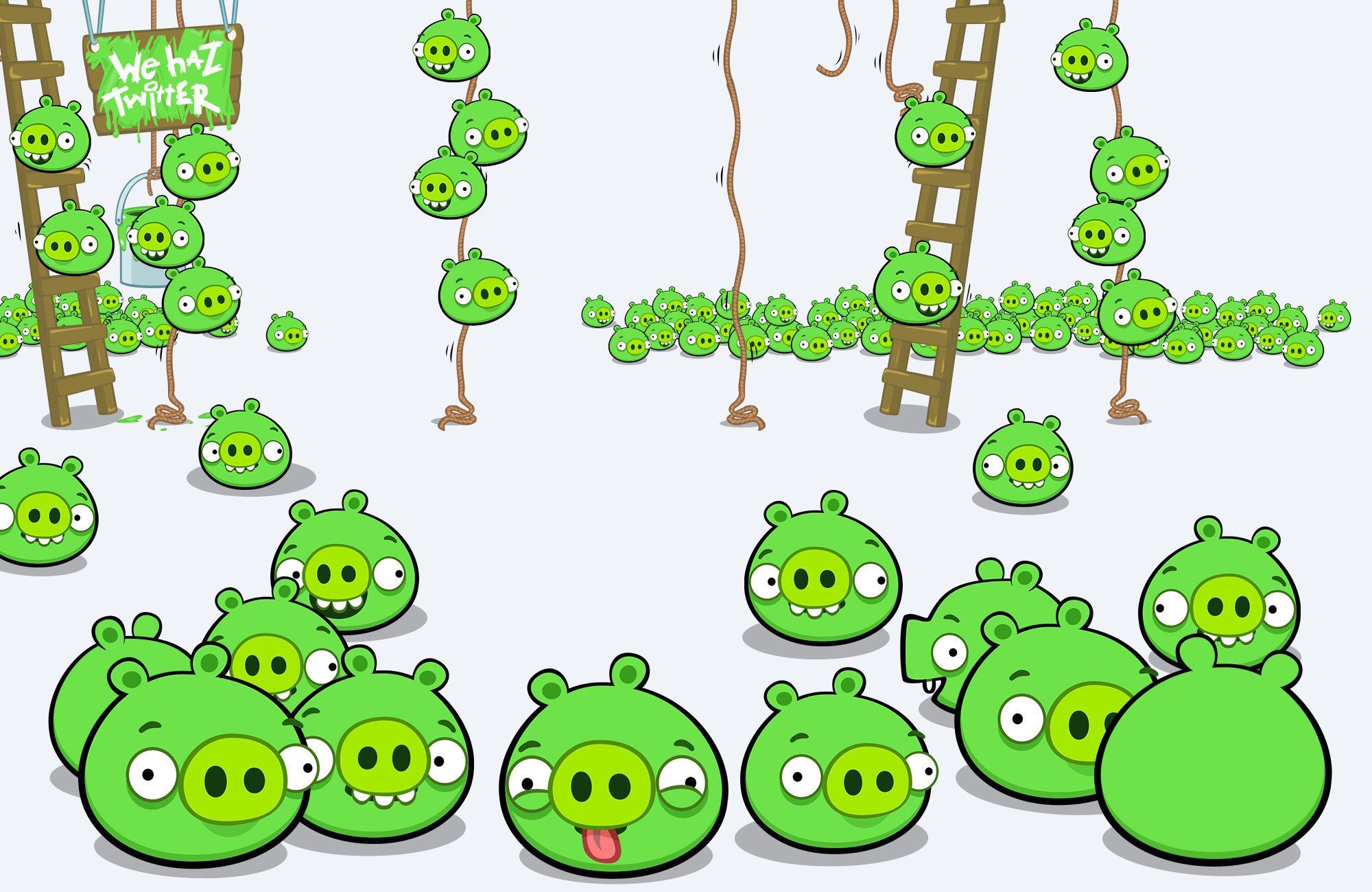 2000x1300 Pigs ideas. angry birds bad pig, bad pig angry birds, angry birds pig image