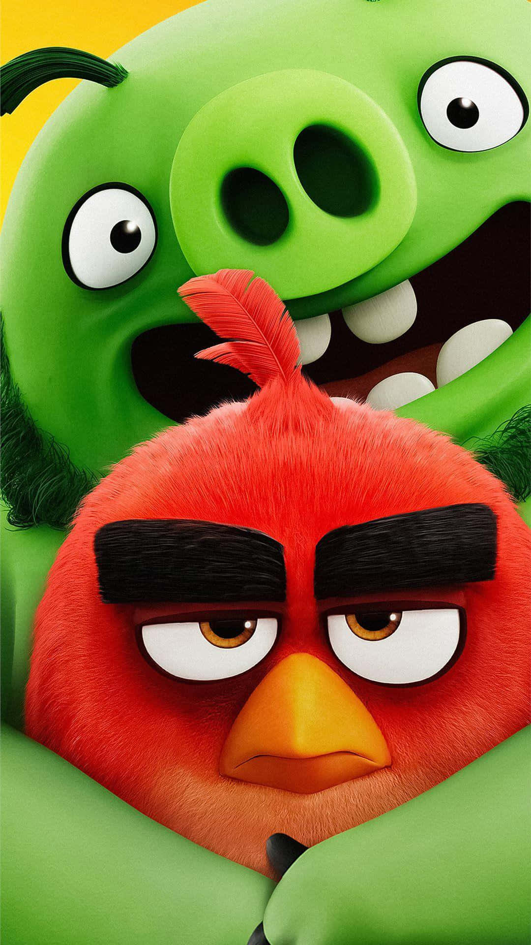 1080x1920 Download Angry Birds Redand Bad Piggies Wallpaper