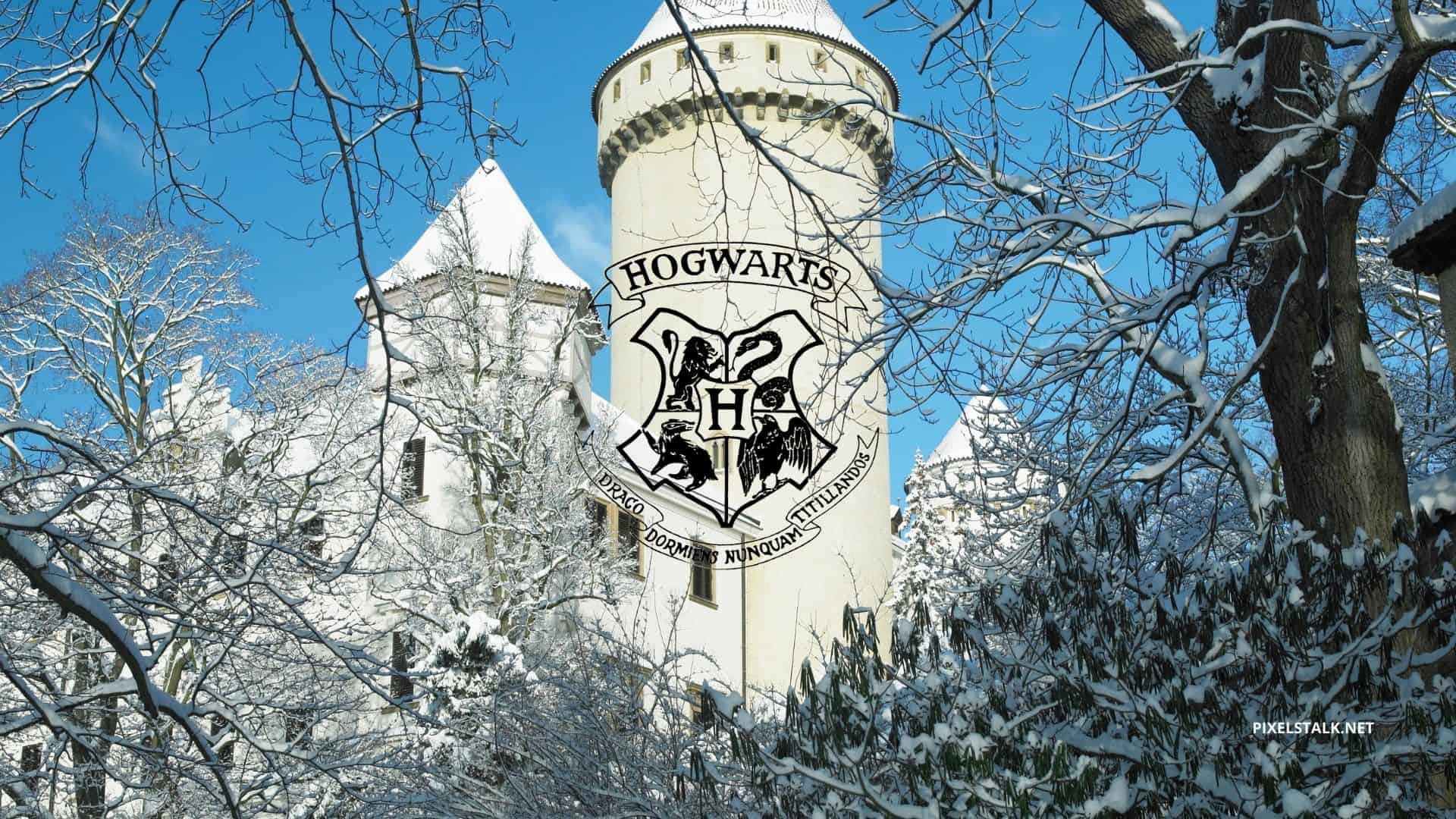 1920x1080 Harry Potter Winter Wallpaper HD