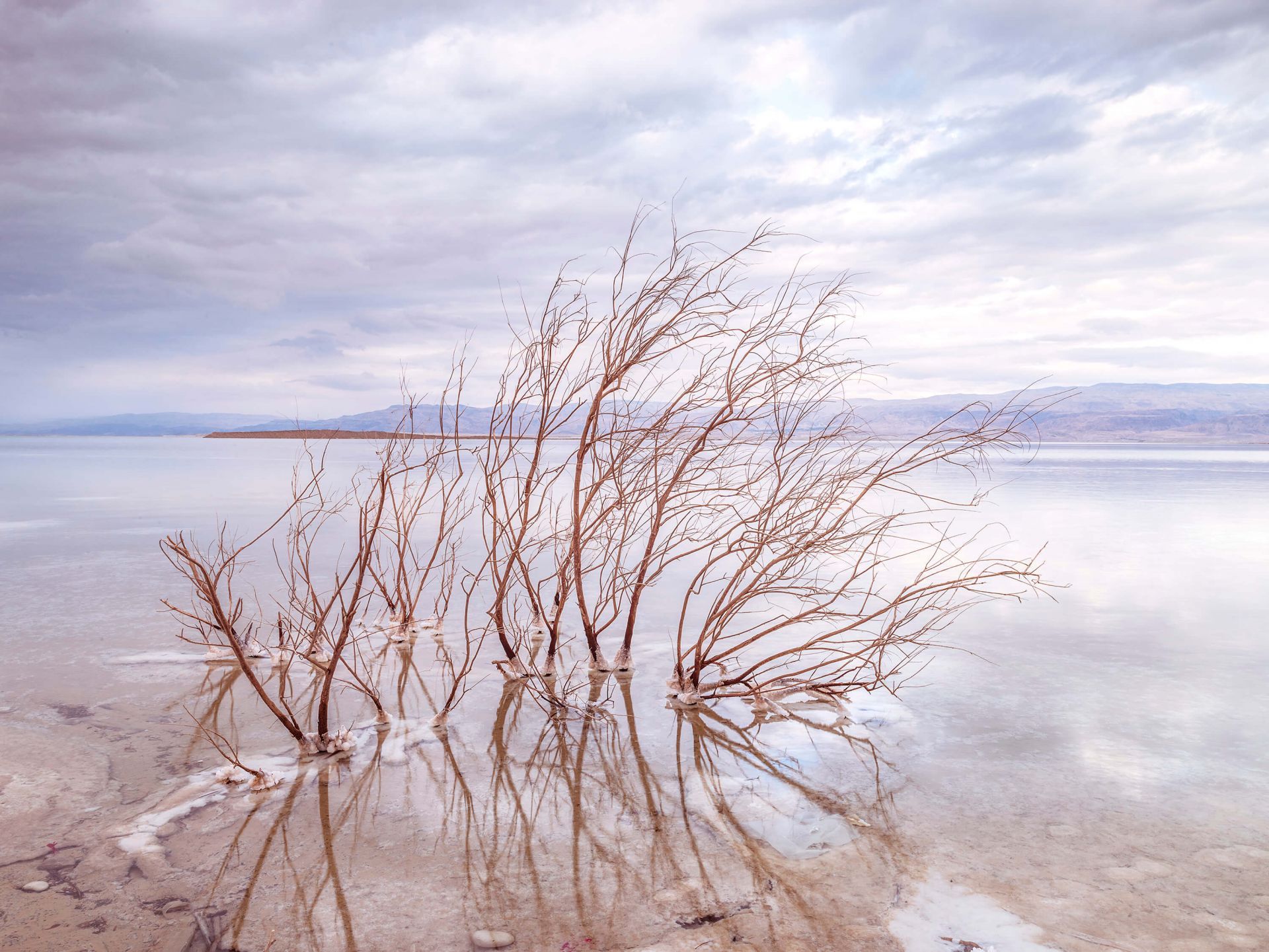 1920x1441 Branches in the Dead Sea