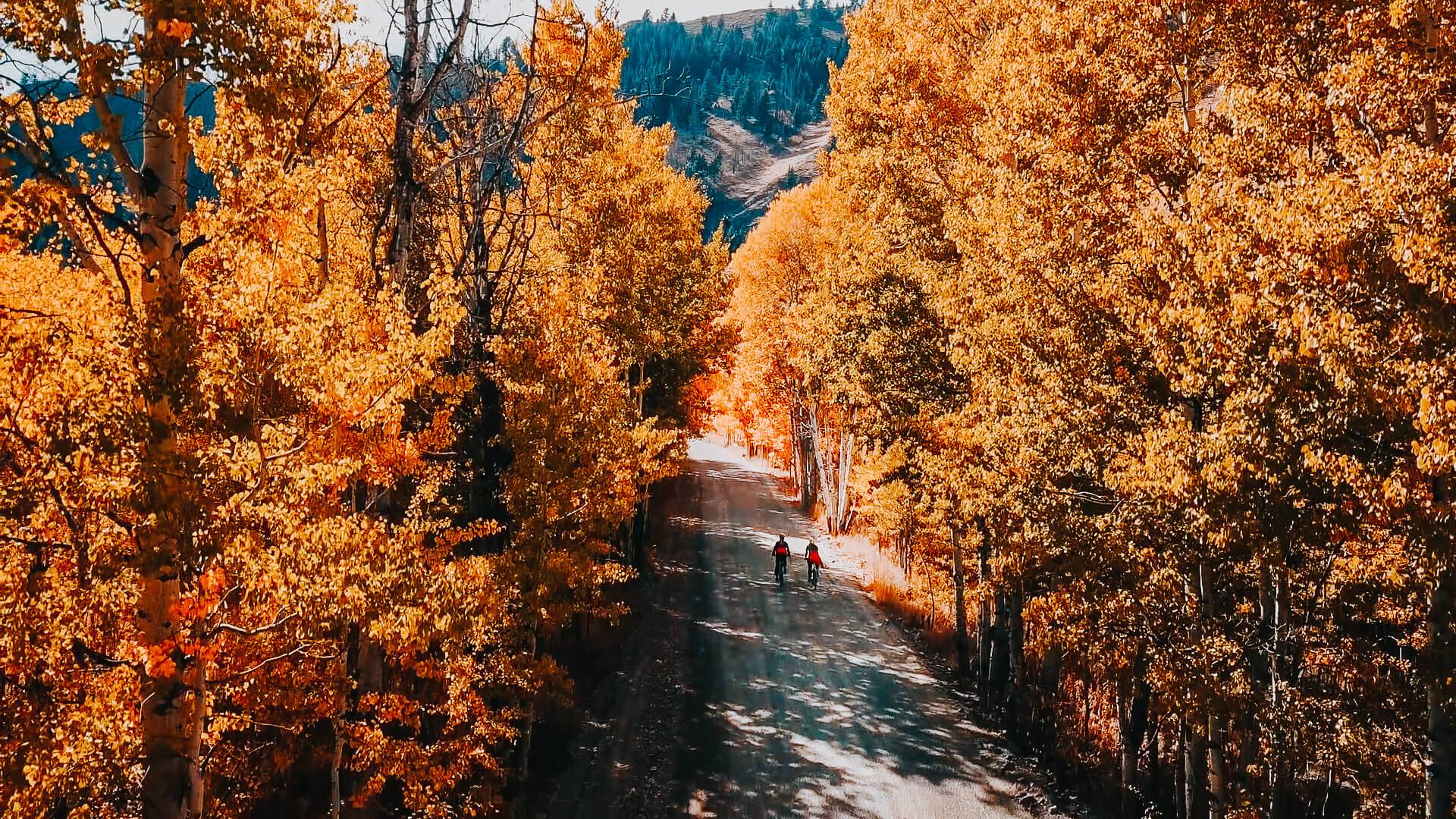 1920x1080 Experience Fall in Idaho and the Best Places for Fall Foliage