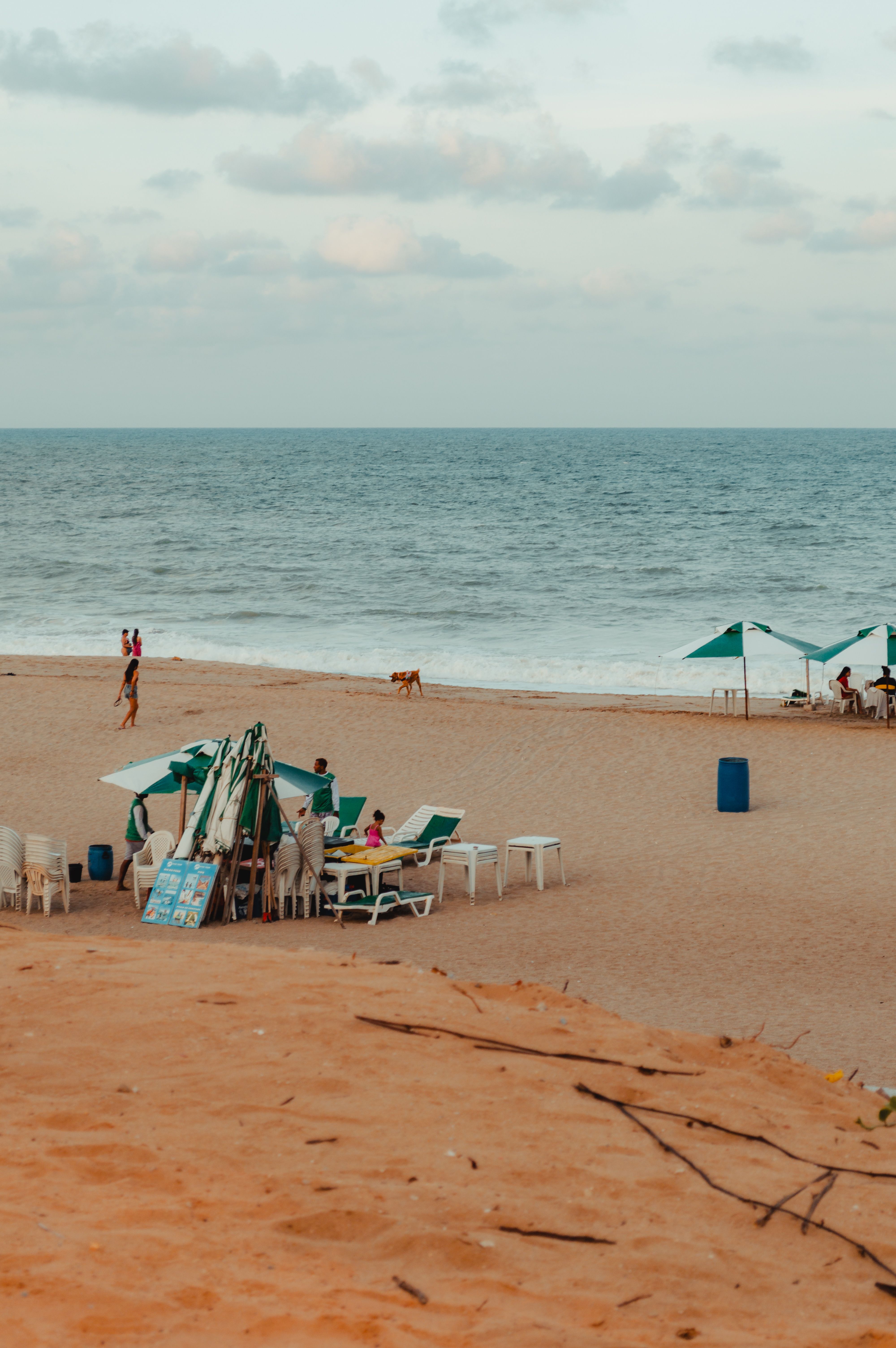 4000x6016 Scenic Beach View in Rio Grande do Norte · Free