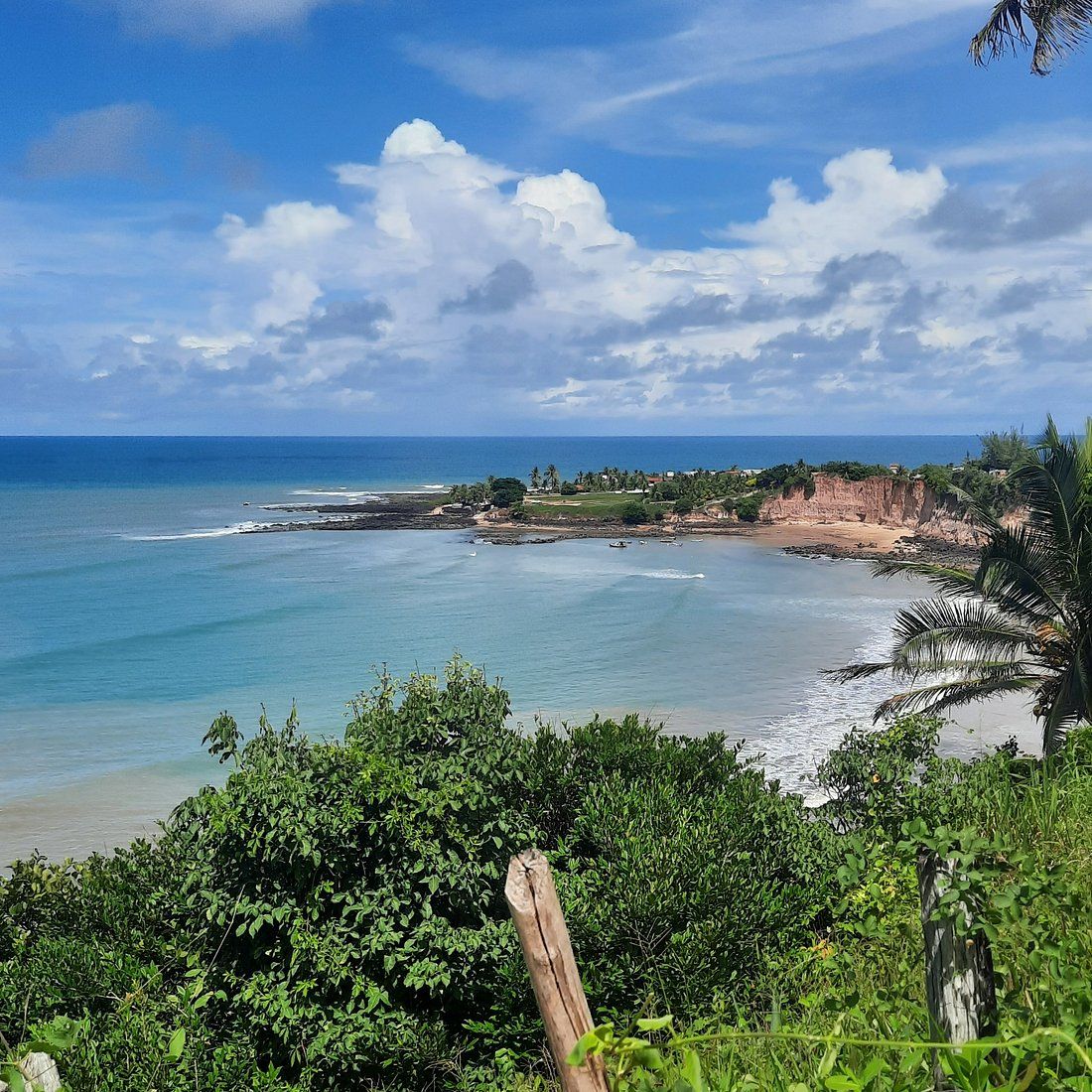 1100x1100 Mirante dos Golfinhos You SHOULD Know Before Going 2026 (with Reviews)