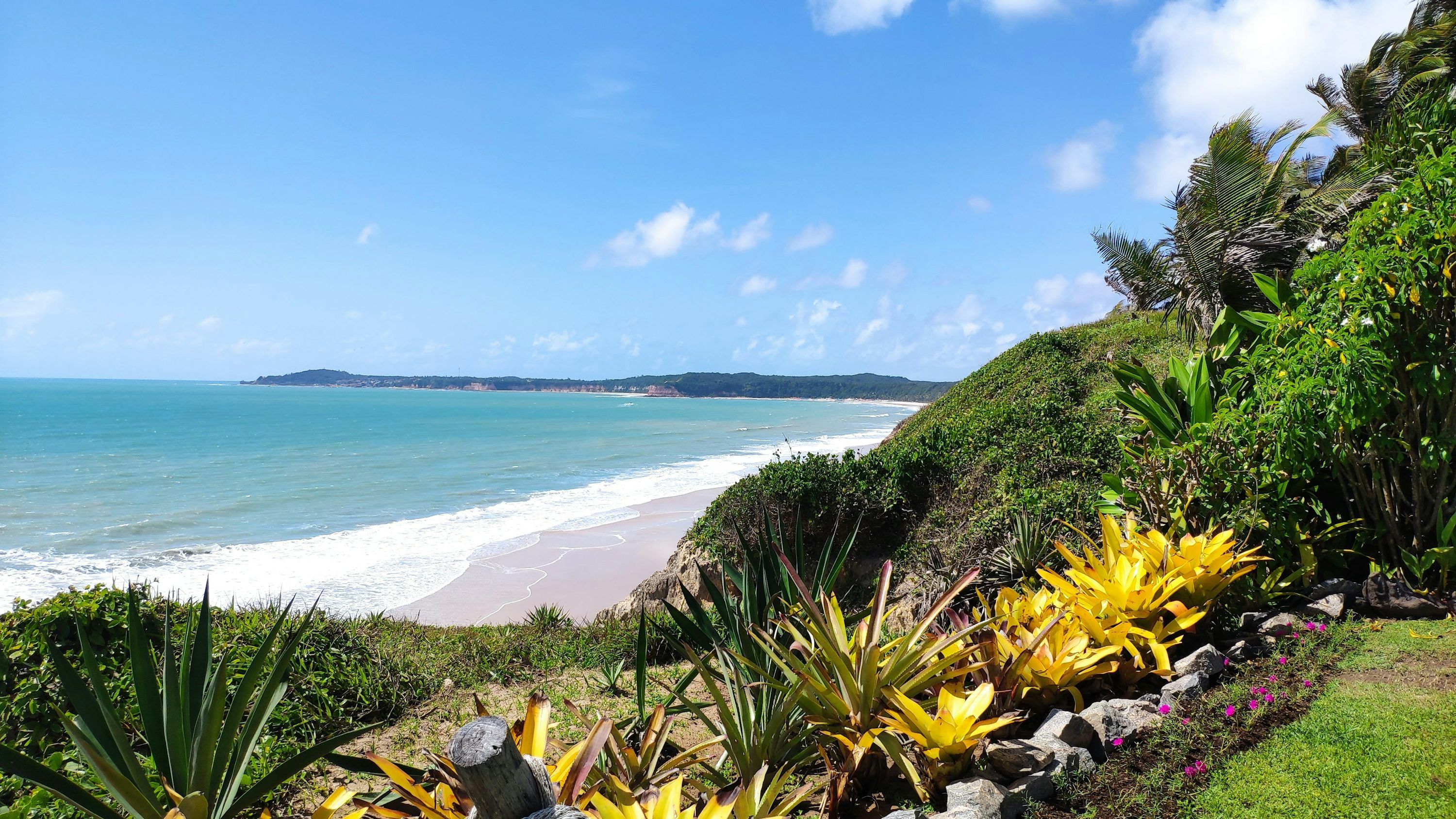 3000x1688 A view of a beach from a hill overlooking the ocean photo