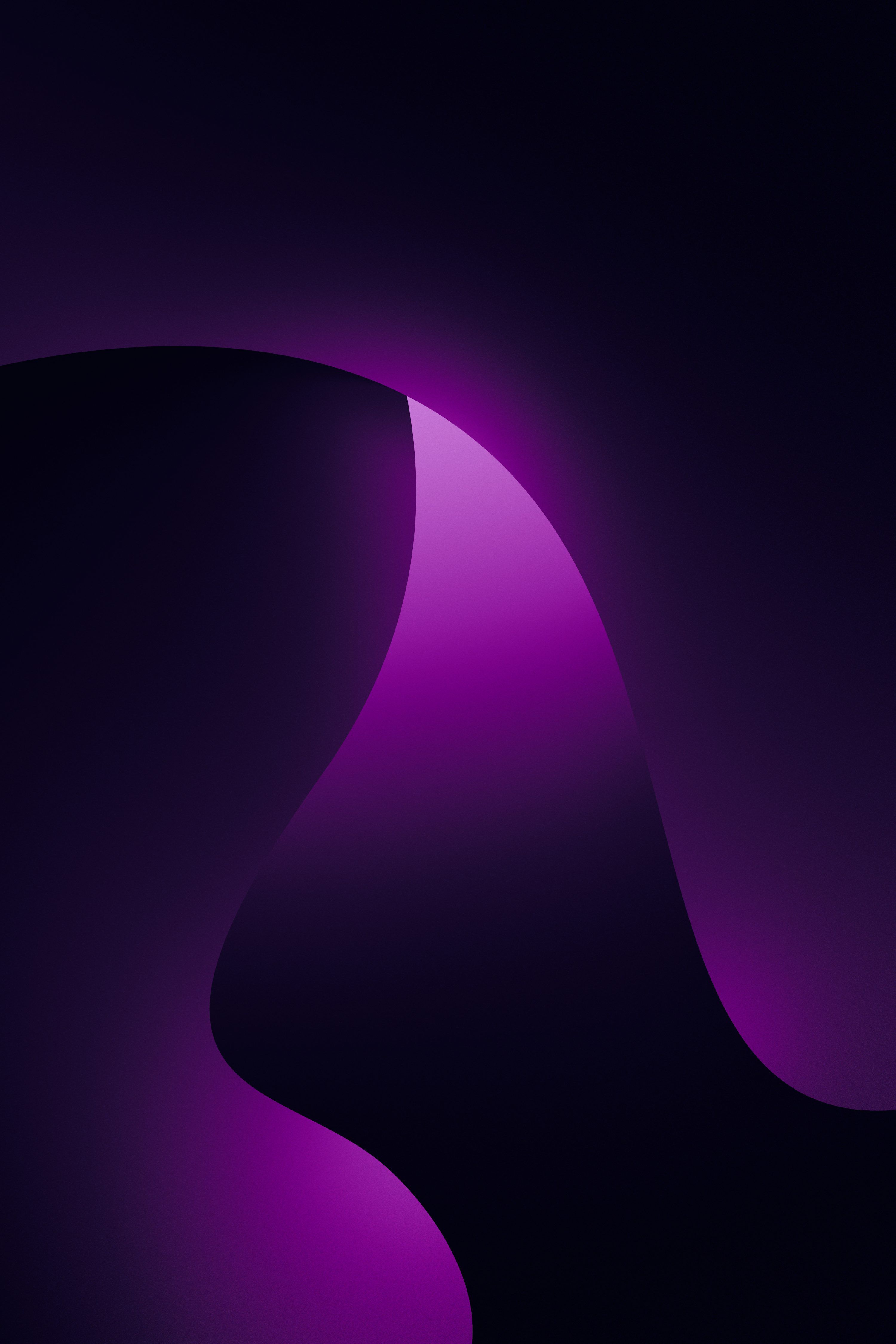 3000x4500 A dark purple background with a curved curve photo