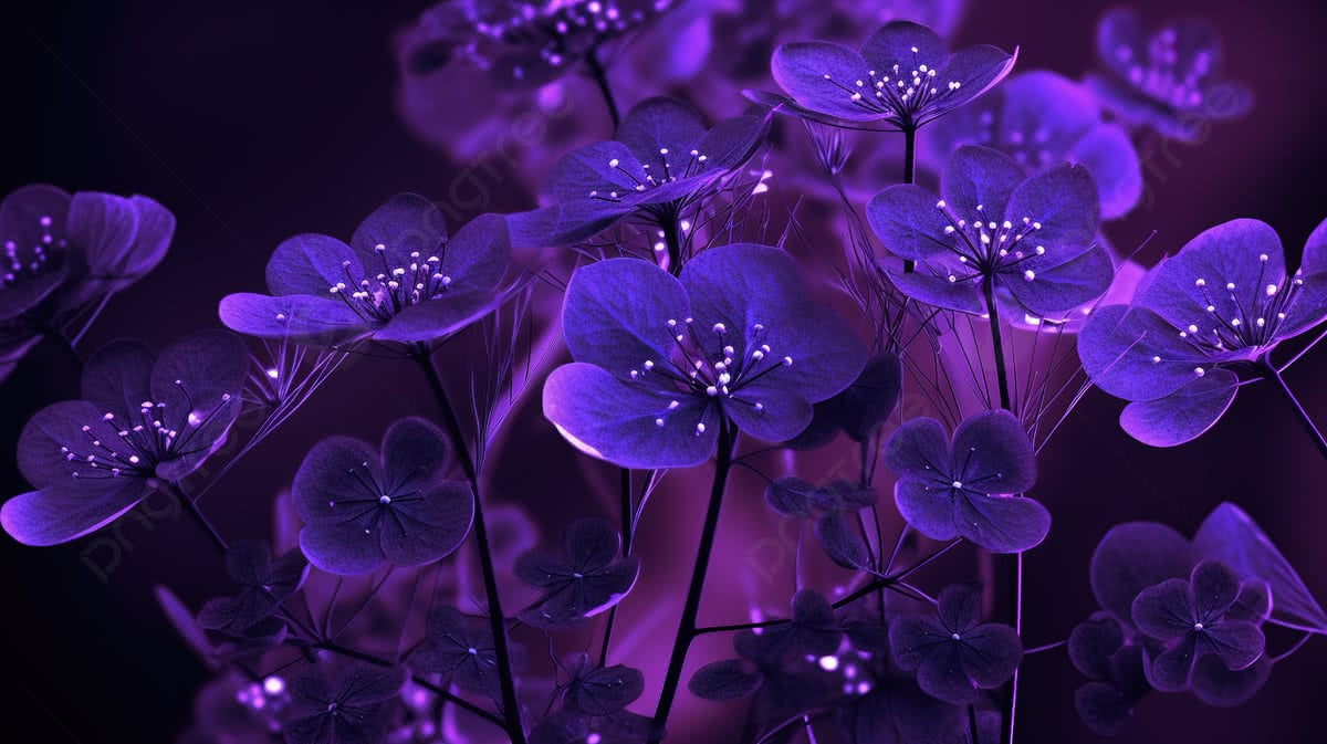 1200x673 Dark Purple Flowers At Night Wallpaper On Mobile Photo And Picture For Free Download