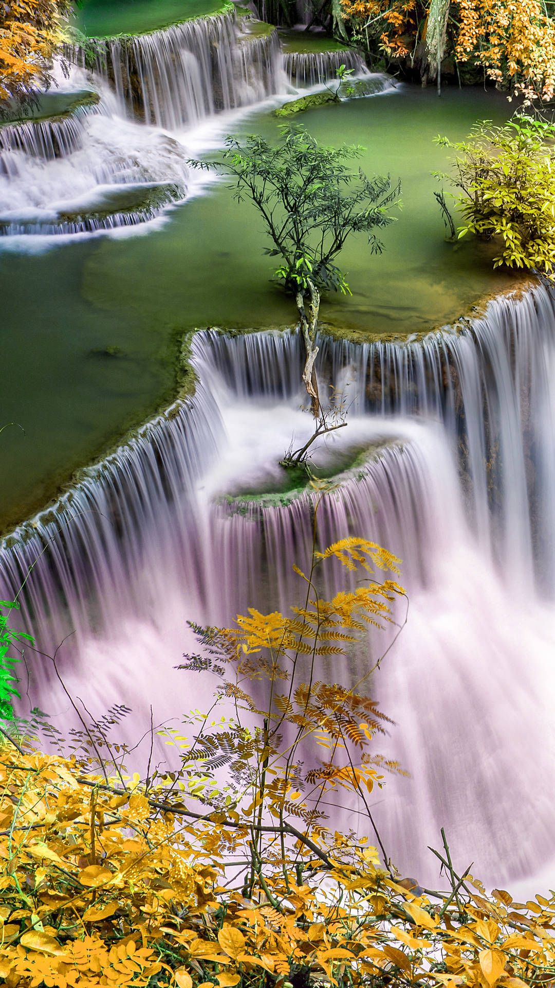 1080x1920 Download Stunning Serenity In Ultra HD Unleashing Nature's Splendor Wallpaper
