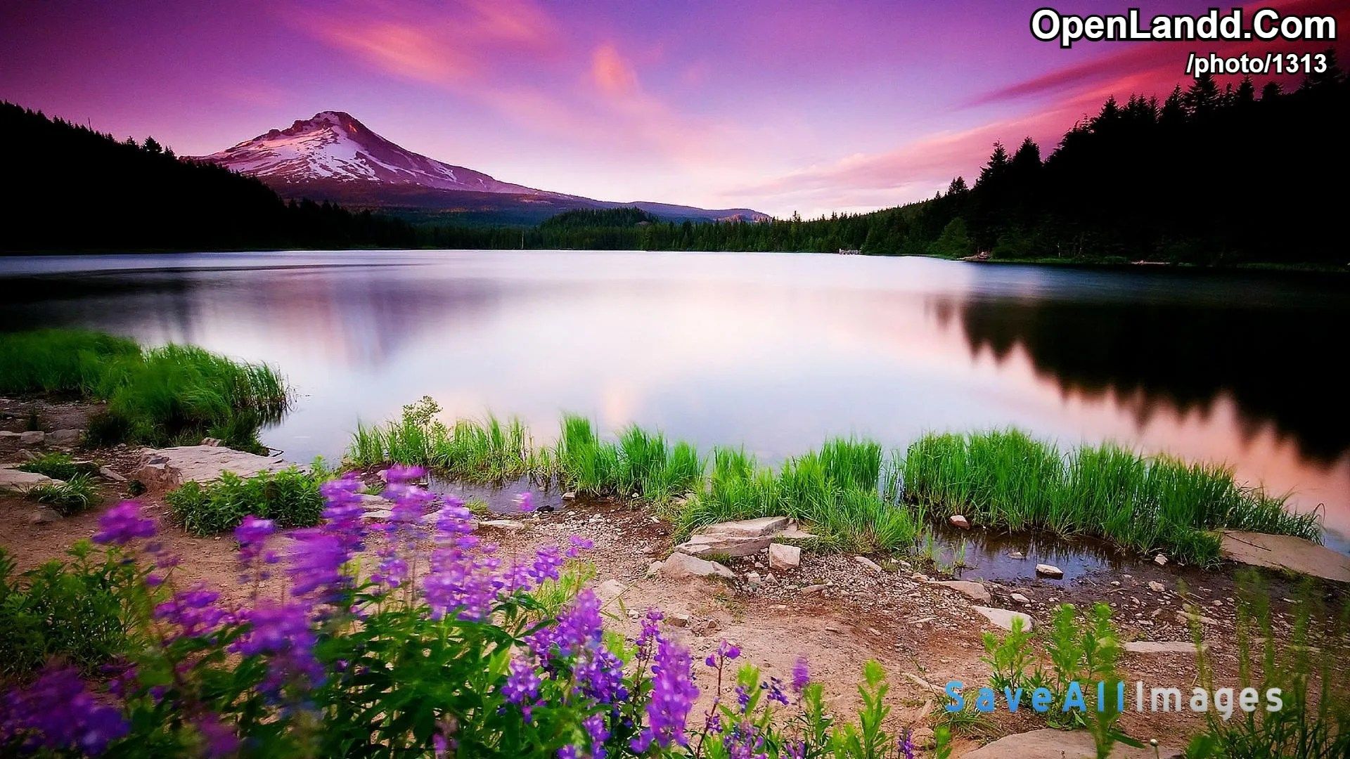 1920x1080 Photo 1313 / Nature Full HD Laptop Wallpaper HD. Elev