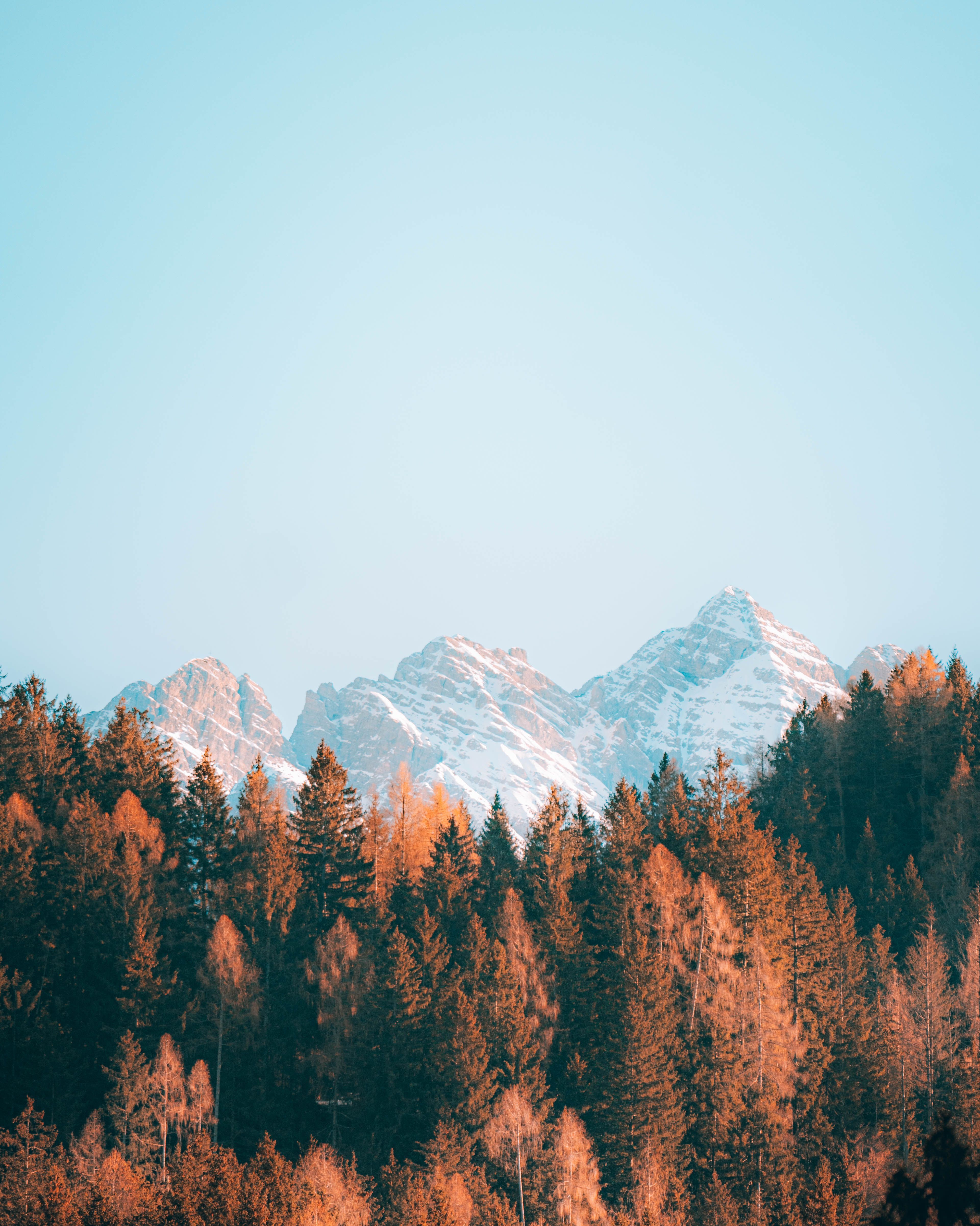 3841x4801 Blue Sky over Mountains and Brown Trees · Free