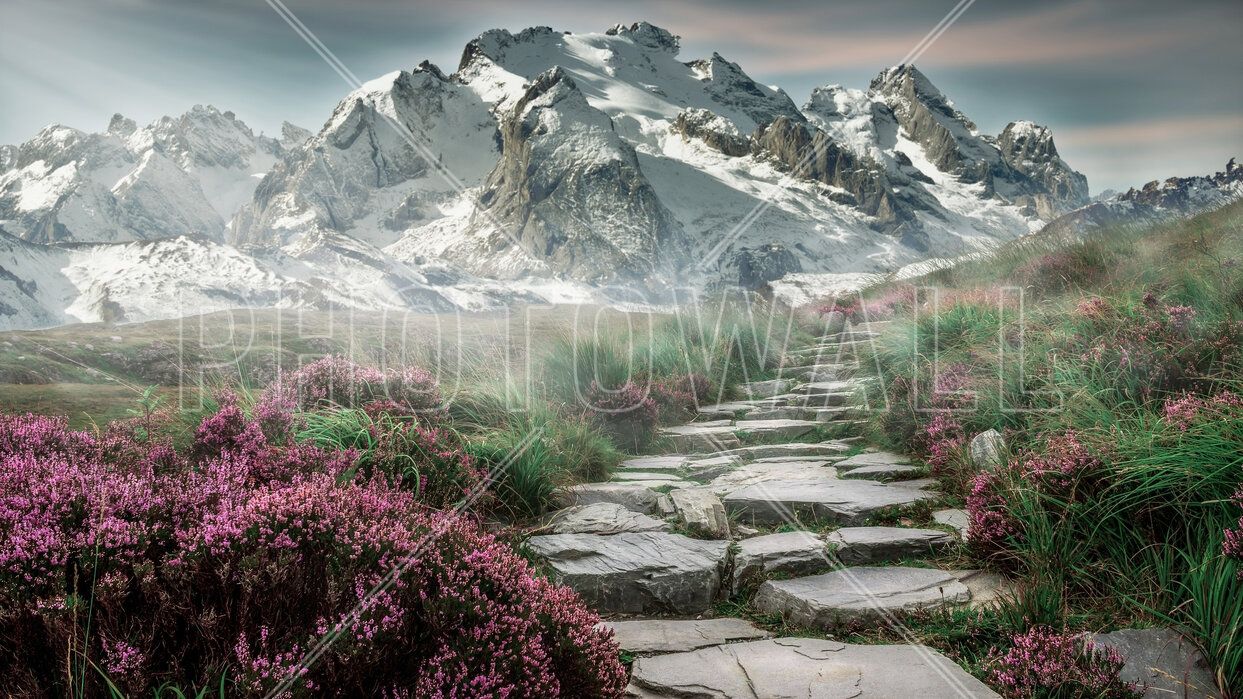 1243x699 Mountain Field Landscape