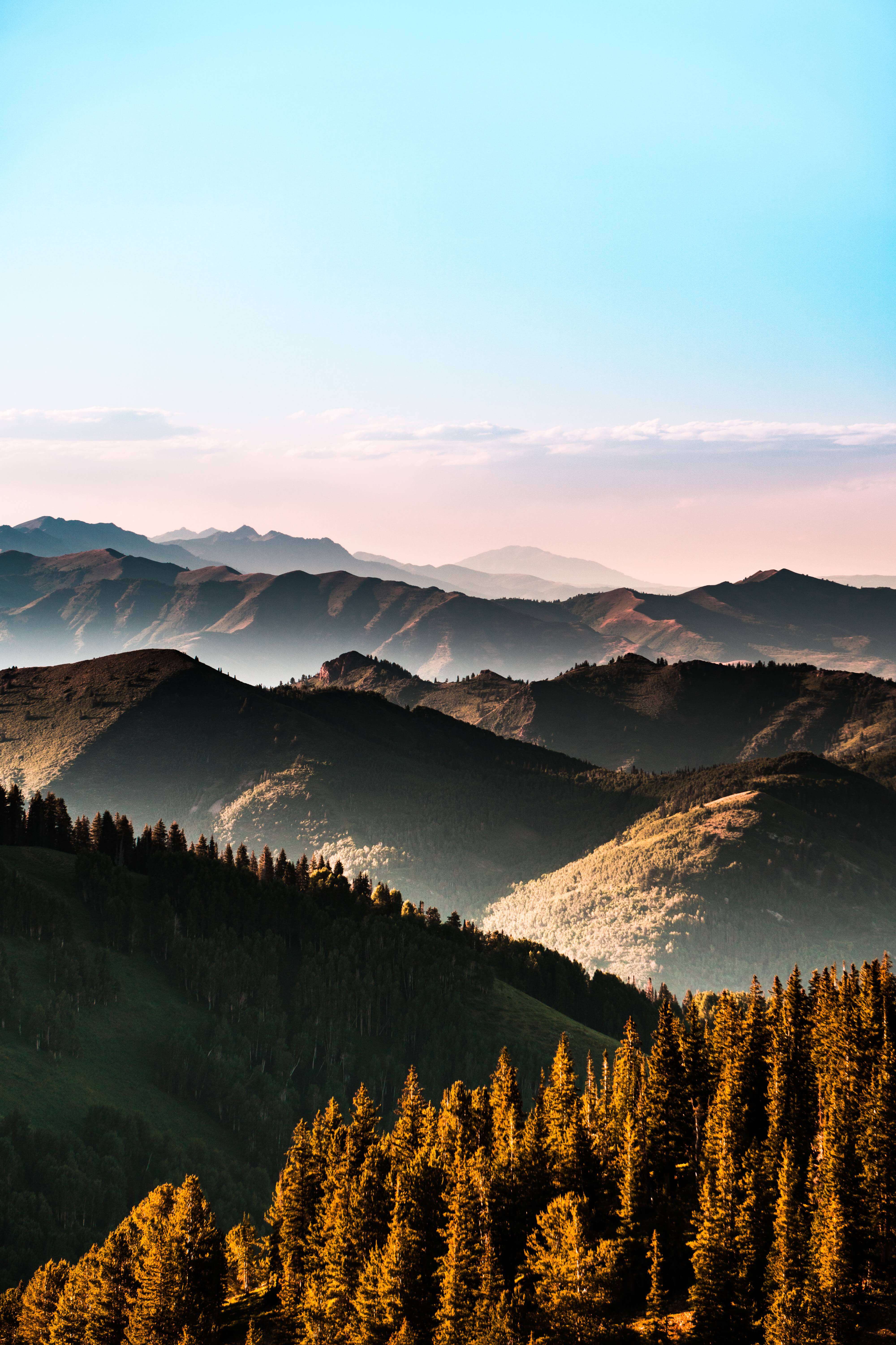 4000x6000 Beautiful Wallpaper Of Nature For Mobile
