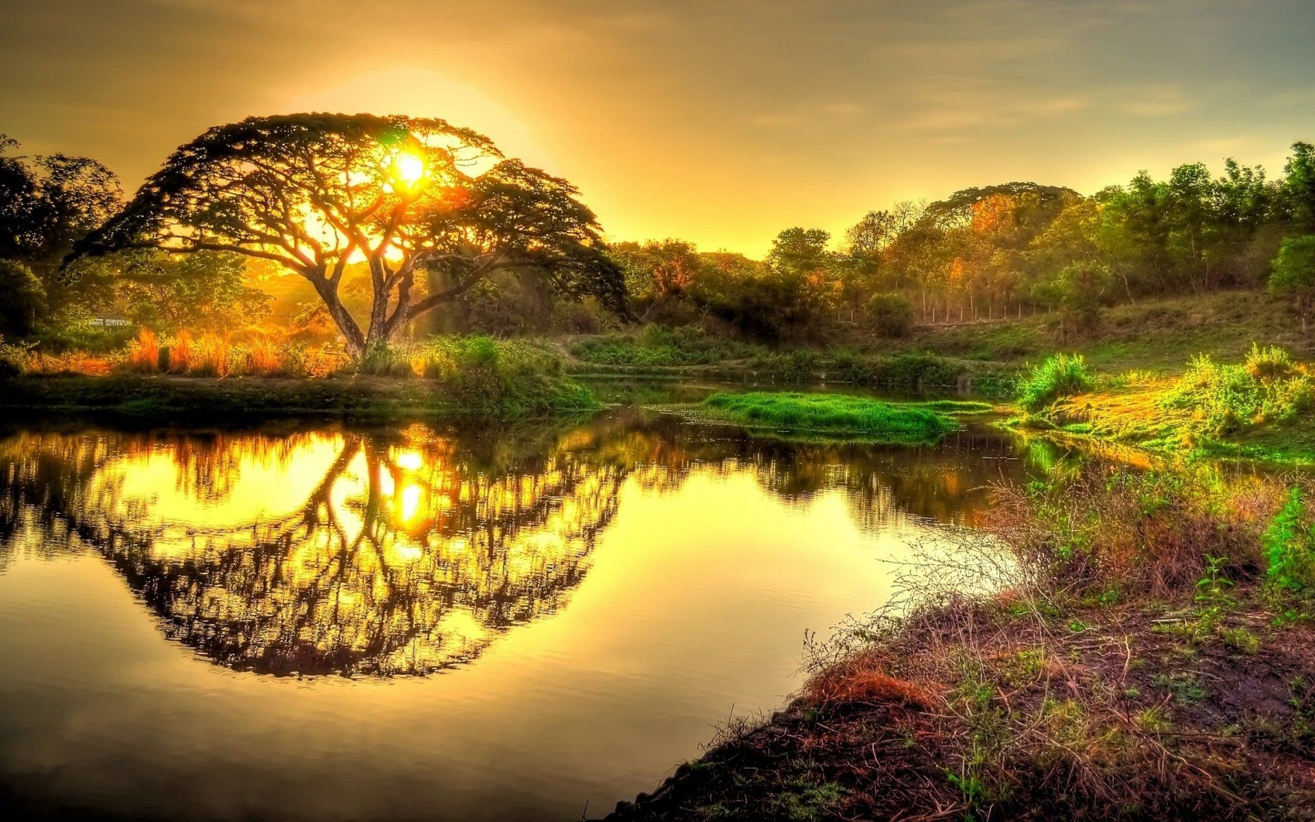 1920x1200 Stunning Sunrise Reflections: Nature HD Wallpaperx1200