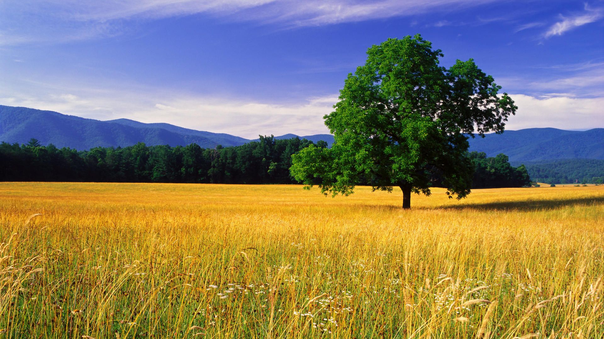 1920x1080 Free photo: Landscape Nature Photo, Clouds, Coast
