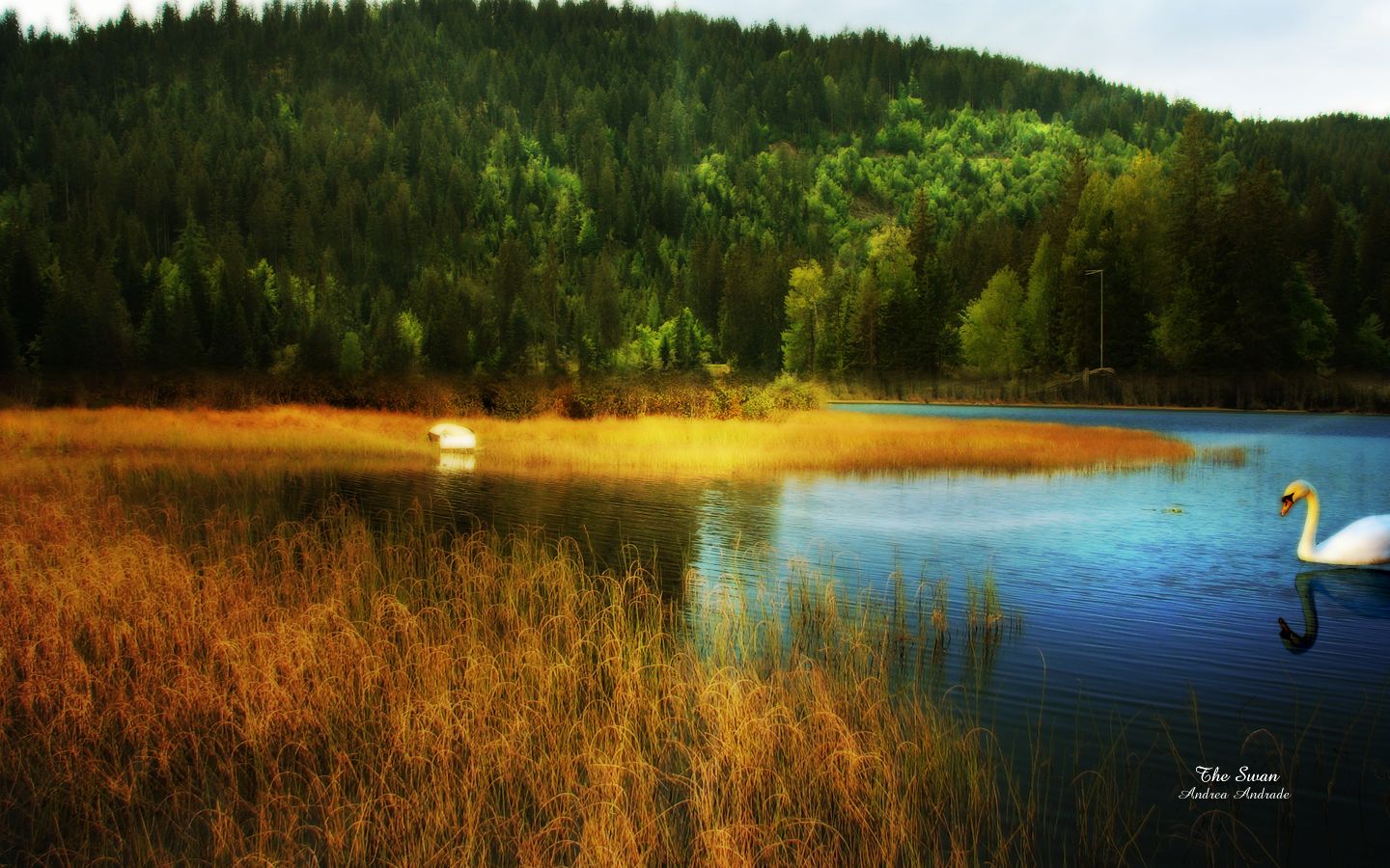 1440x900 Nature Wallpaper Set 17