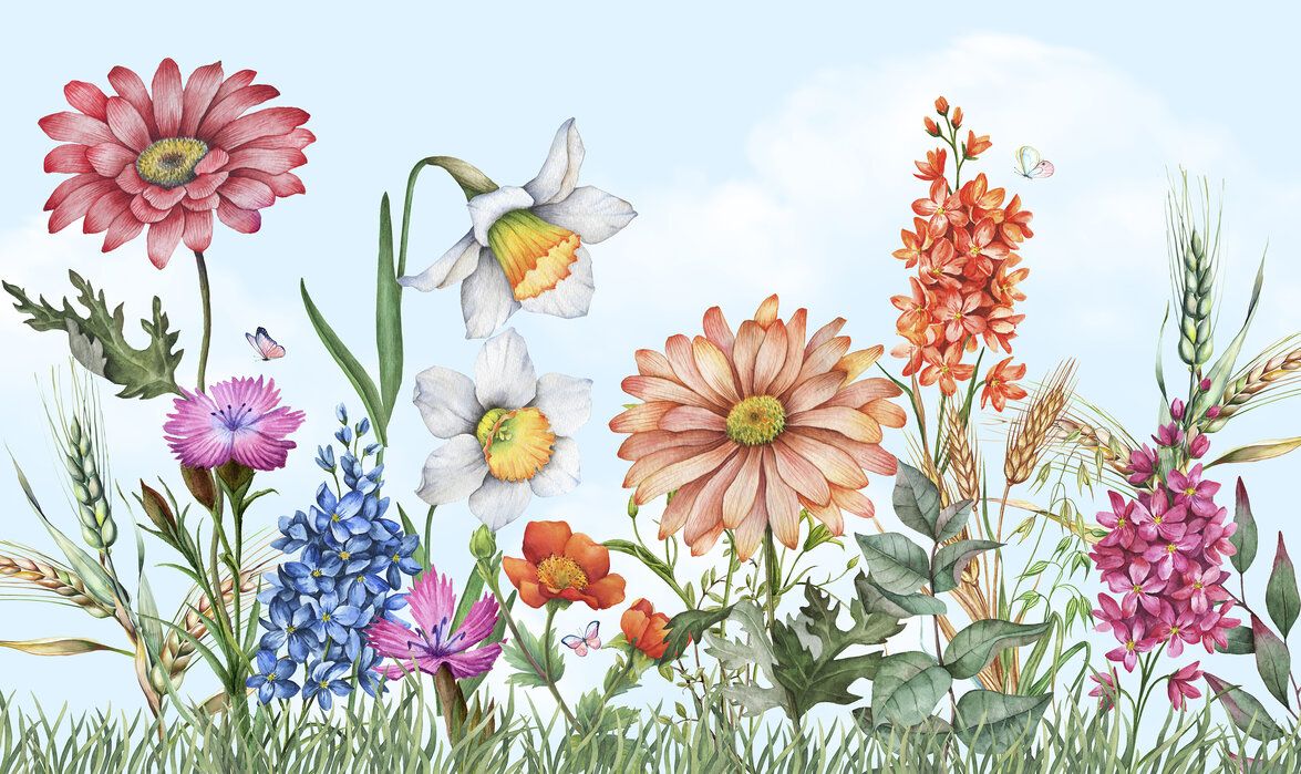 1175x699 Wall Mural Flower Field / Children & Design Room The Wall Or Peel And Stick