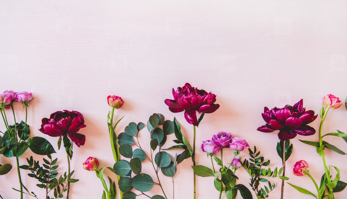 1184x680 Summer Flowers And Branches Flat Lay Over Pink Background, Copy Space Photo