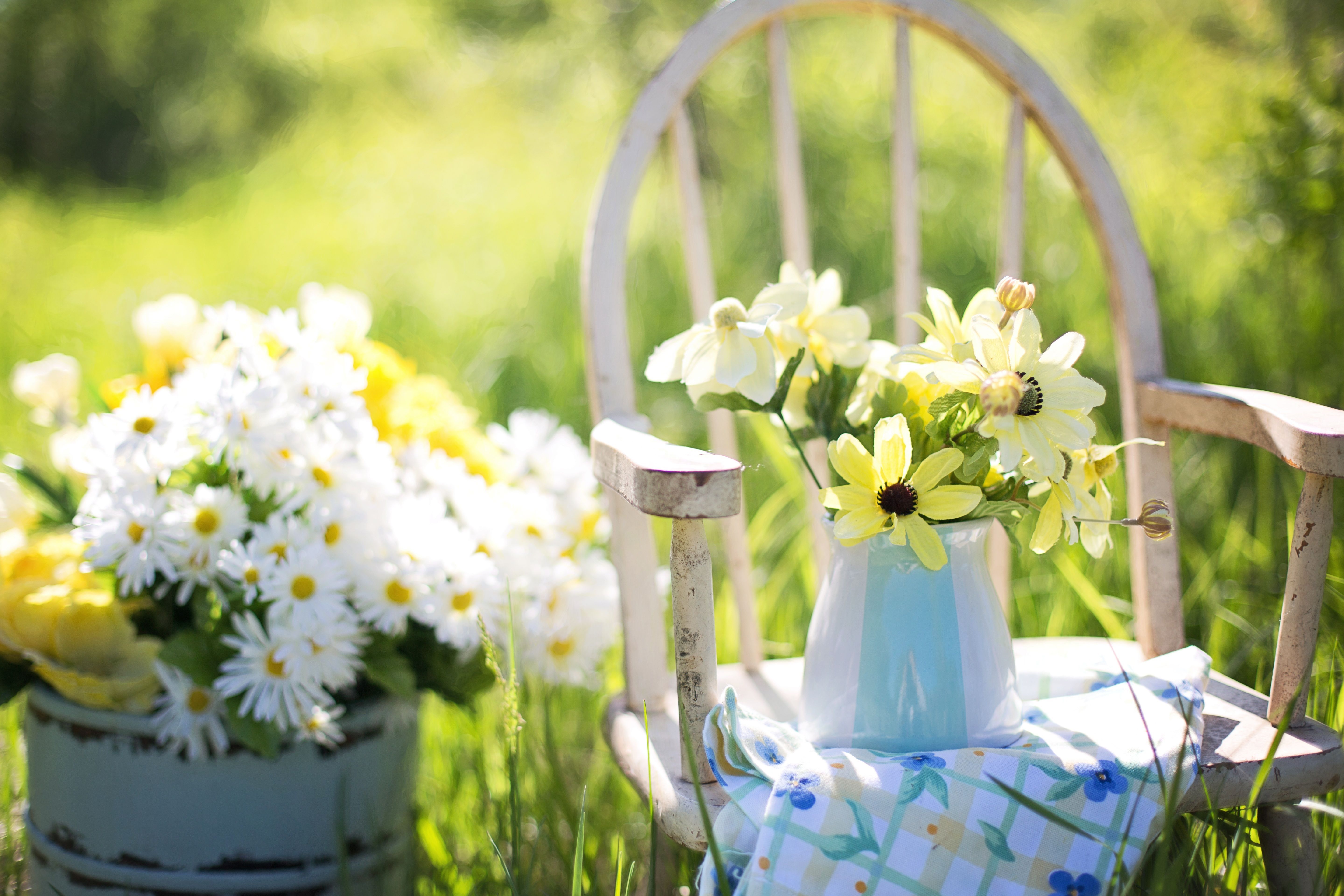 5760x3840 Flowers in Vase on Chair · Free