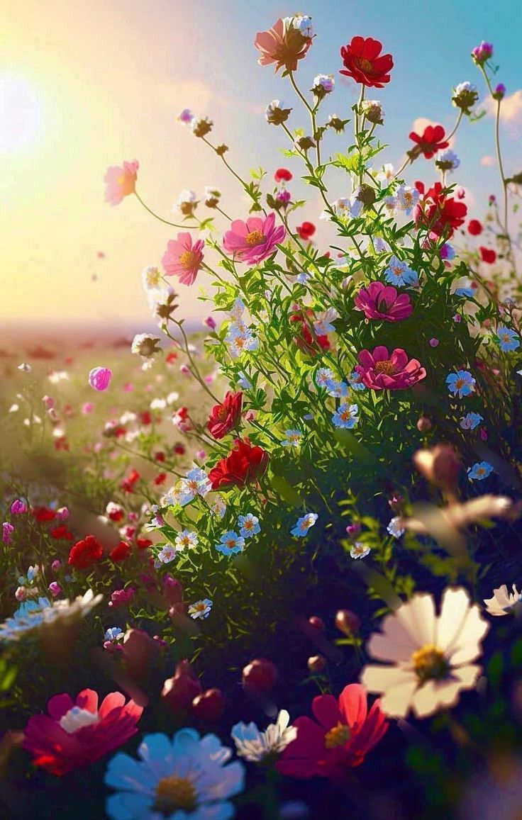 736x1157 Summer floral meadow view. Spring wildflowers background, Summer flower meadow view, Beautiful flowers photo