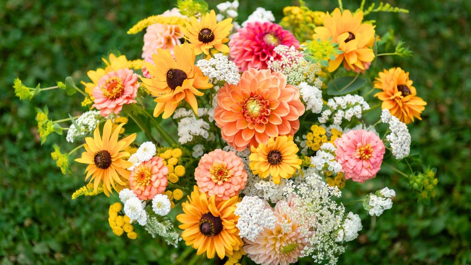 1600x900 Plant these 15 Plants Now for Your Summer Bouquets
