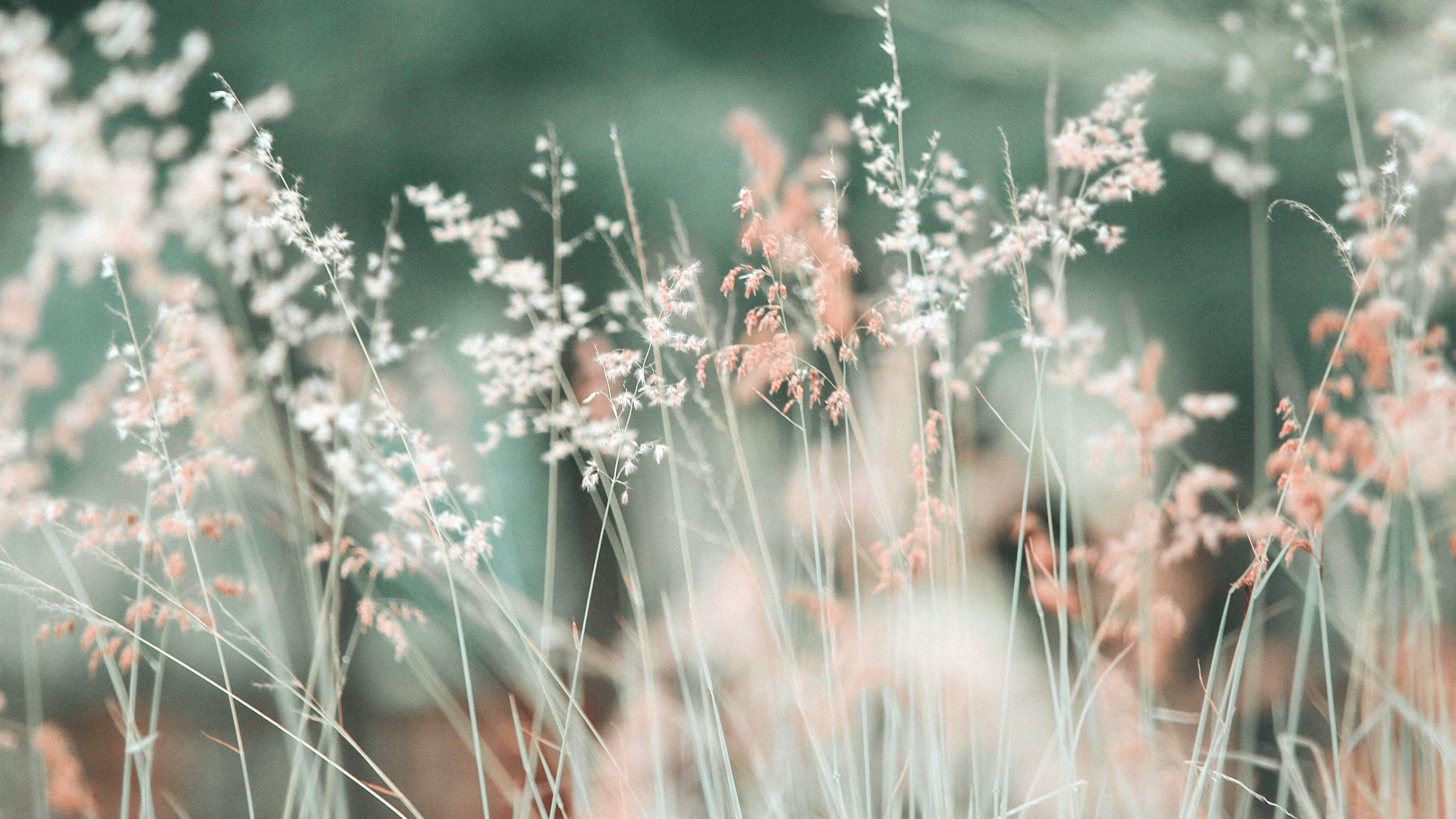 3840x2160 Summer Wallpaper: Stunning, Cute and Aesthetic • Mercy Digital Designs