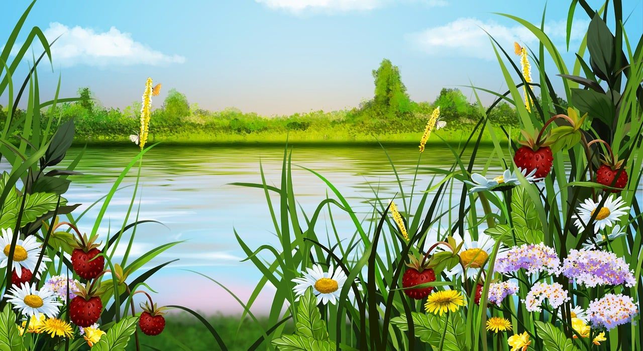 1280x698 Download Summer Nature Landscape. Royalty Free Stock Illustration Image