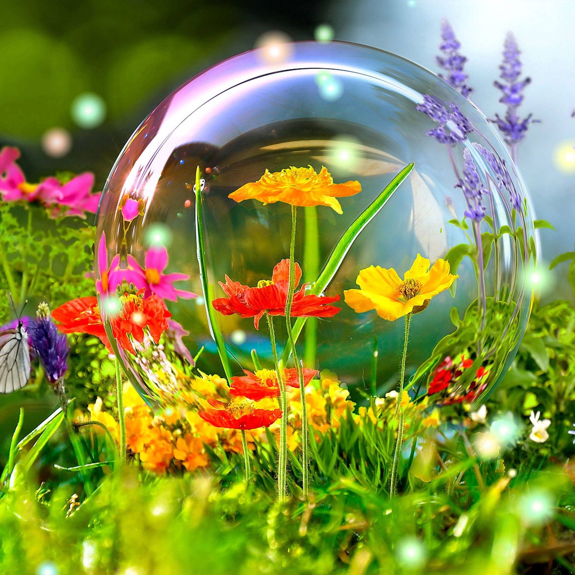 1920x1920 Download Flowers In A Bubble Nature Summer Screen Saver Wallpaper
