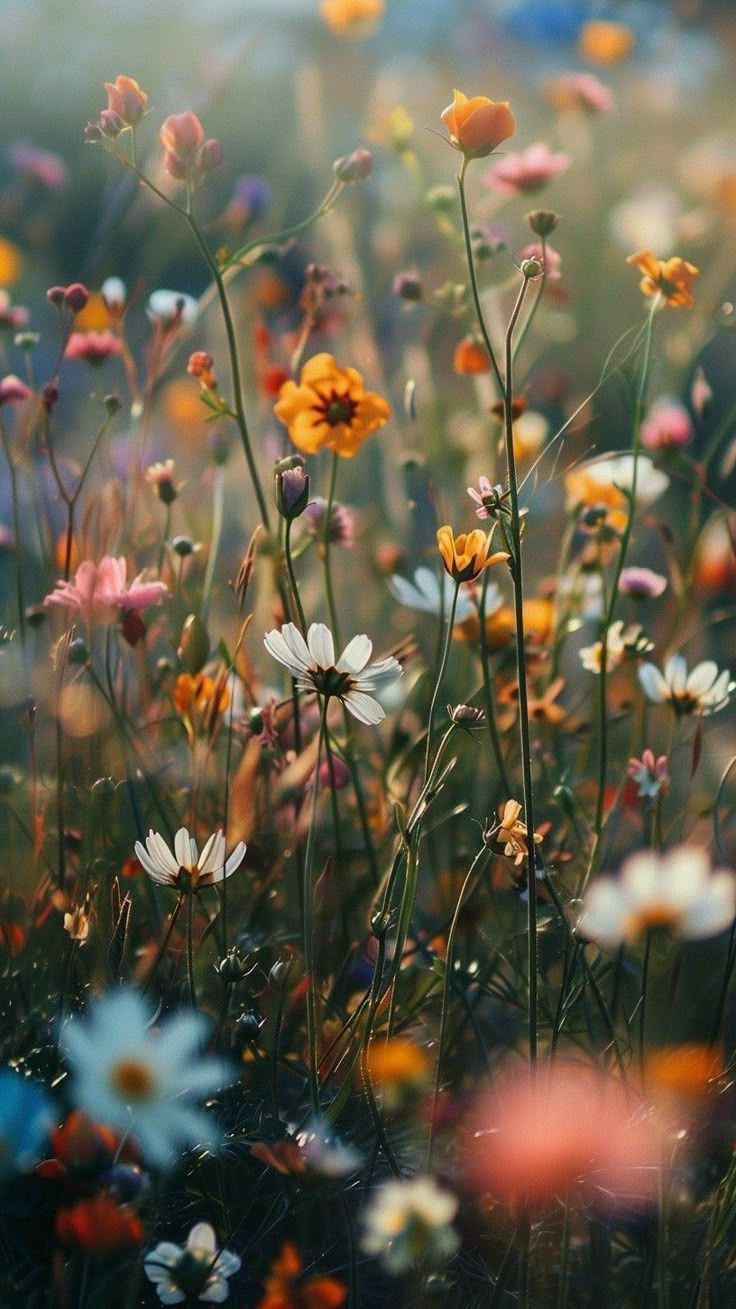 736x1309 Colorful Flowers in the Grass. Summer grass aesthetic wallpaper, Floral scenes, Aesthetic wallpaper ipad spring