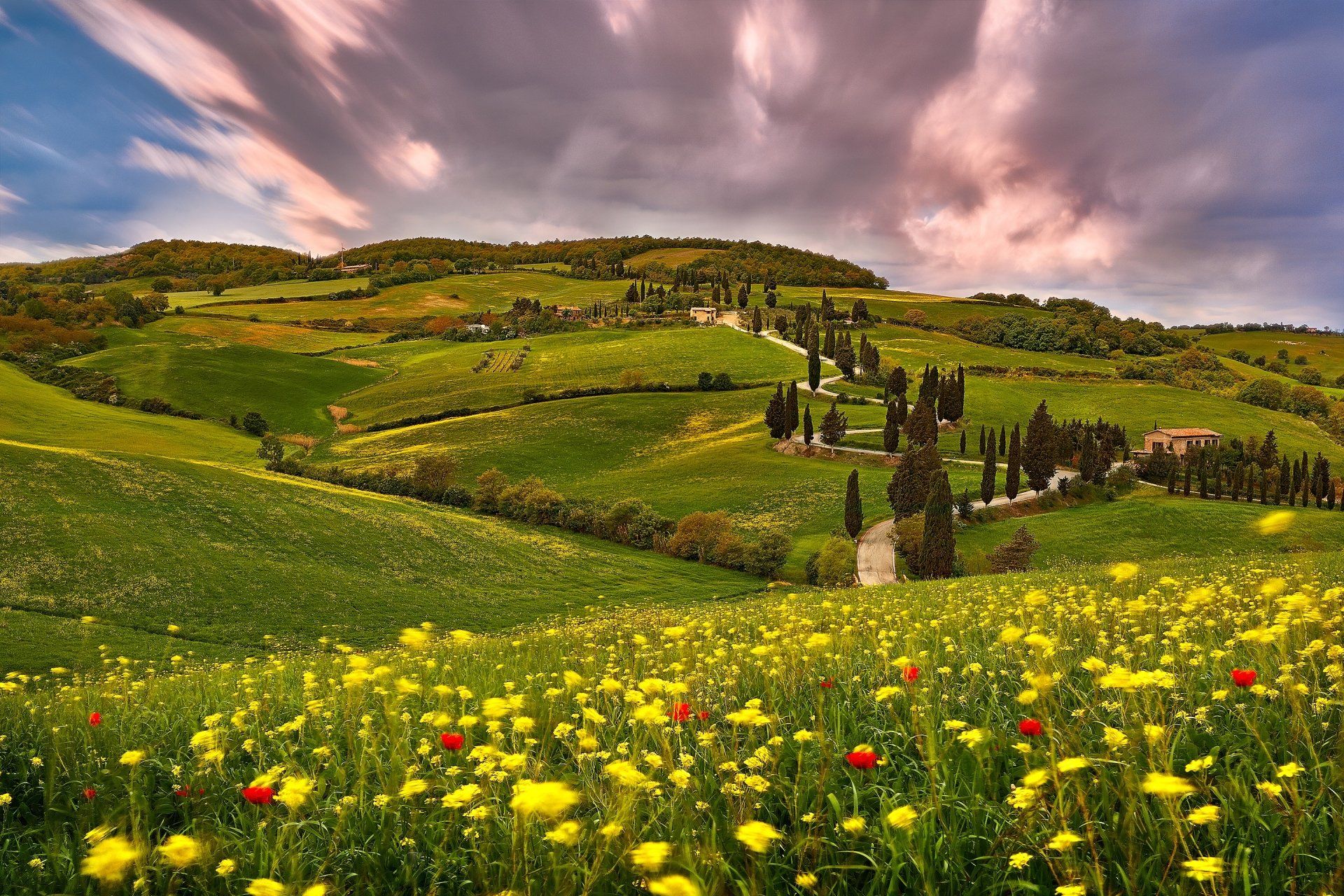 1920x1280 Tuscany Summer Meadow