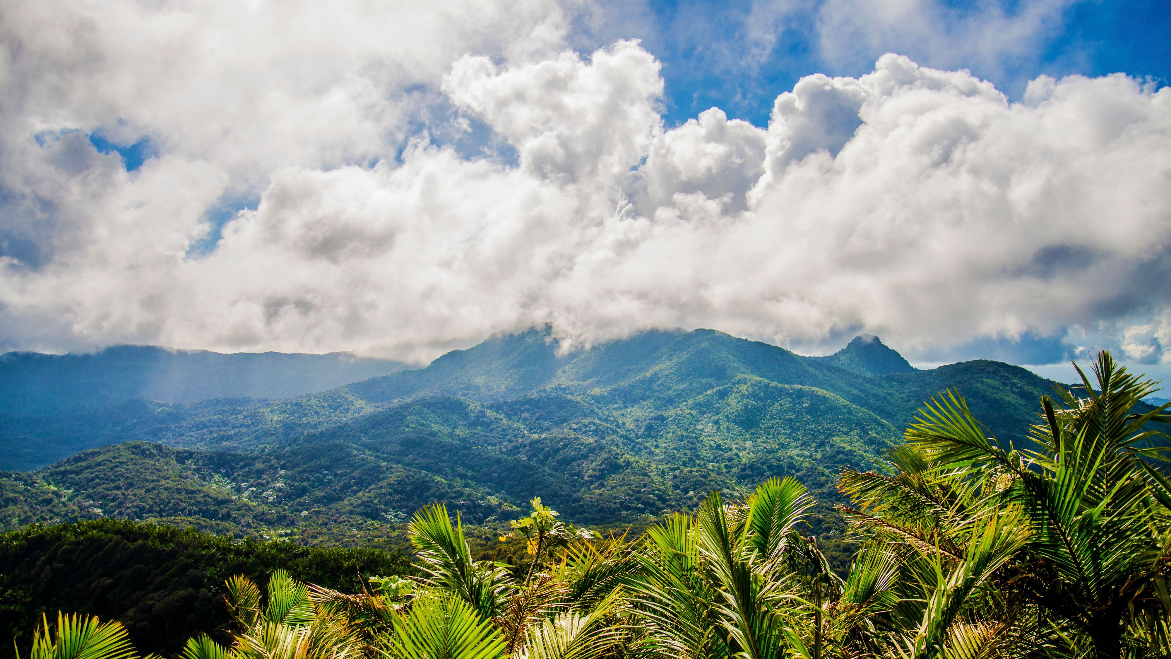 4000x2250 El Yunque National Forest
