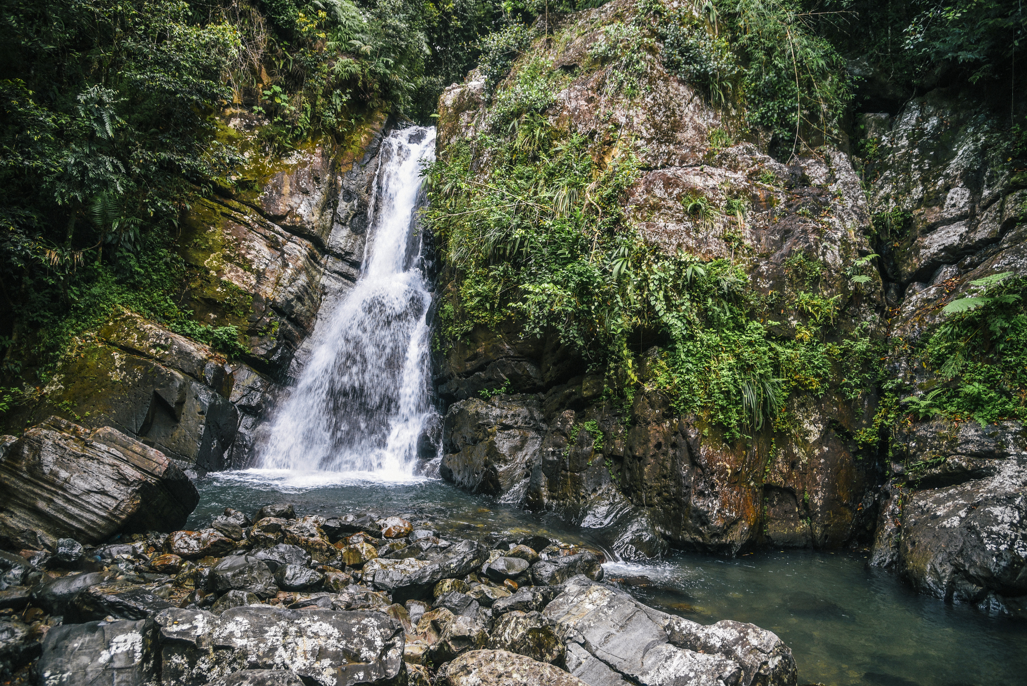 2119x1415 Hike in El Yunque National Forest