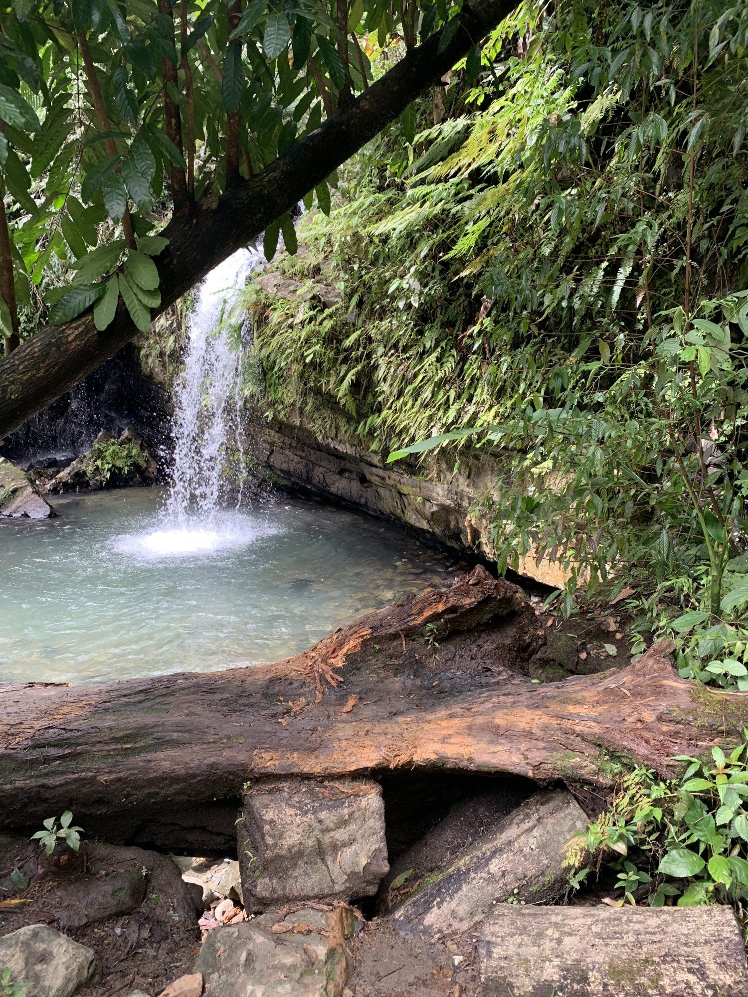 1500x2000 Beautiful Spots to Visit in El Yunque National Forest's Travel Corner