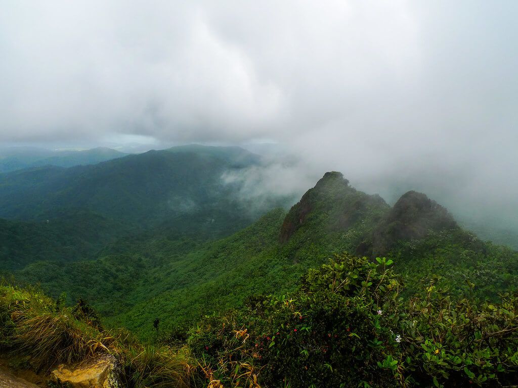 1024x768 El Yunque: The Heart of Puerto Rico's Tropical Wilderness